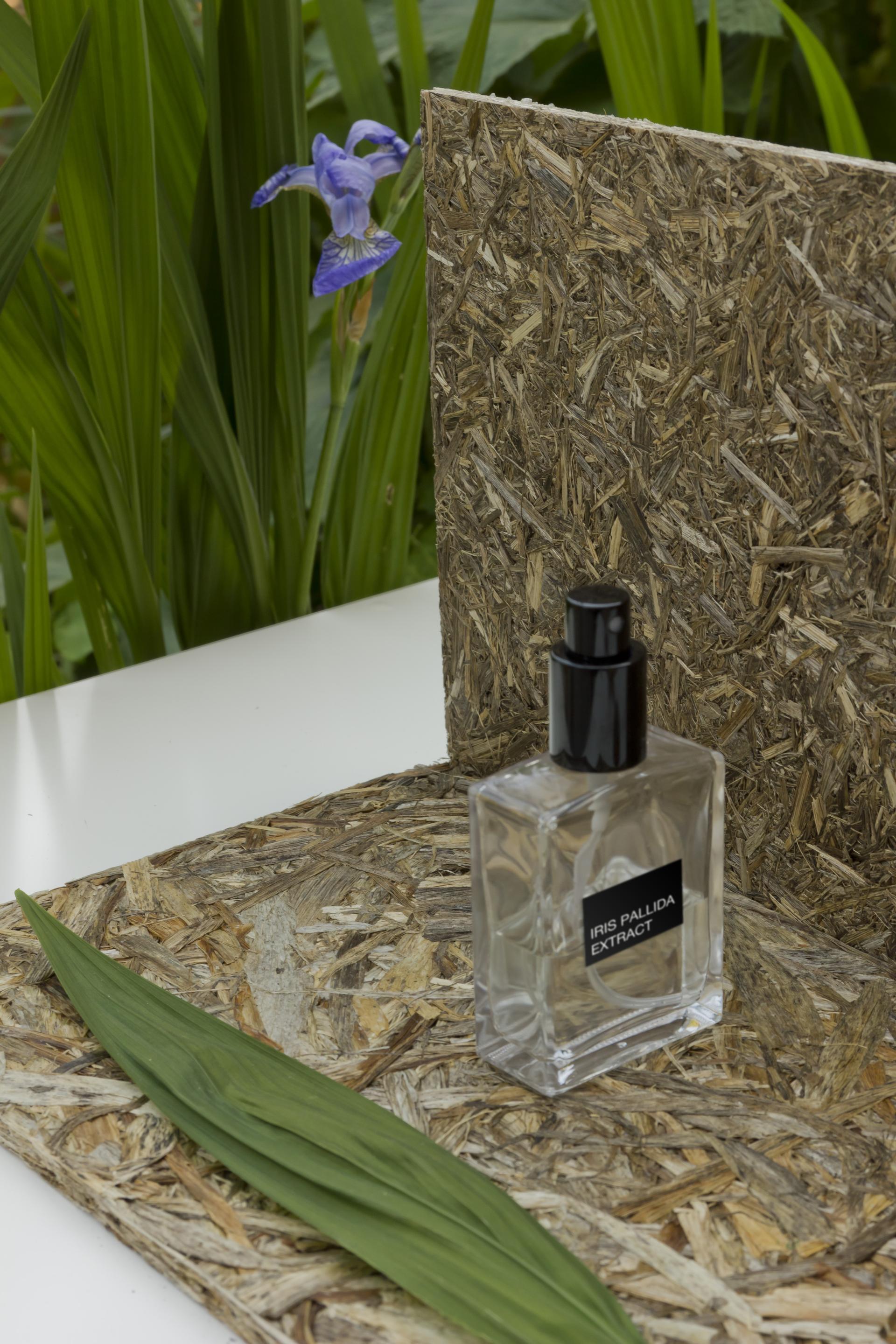 Glass bottle labeled "Iris Pallida Extract" displayed on textured bio-based material with green leaves and a purple flower in the background.