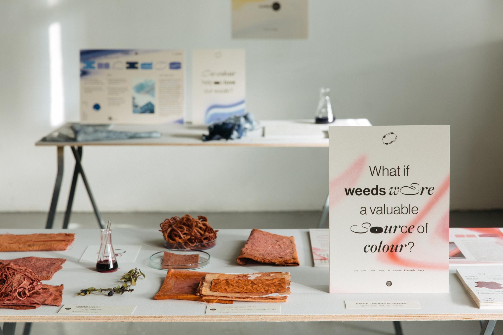 Display of natural dye samples and signage promoting the use of weeds as a sustainable color source in circular design.