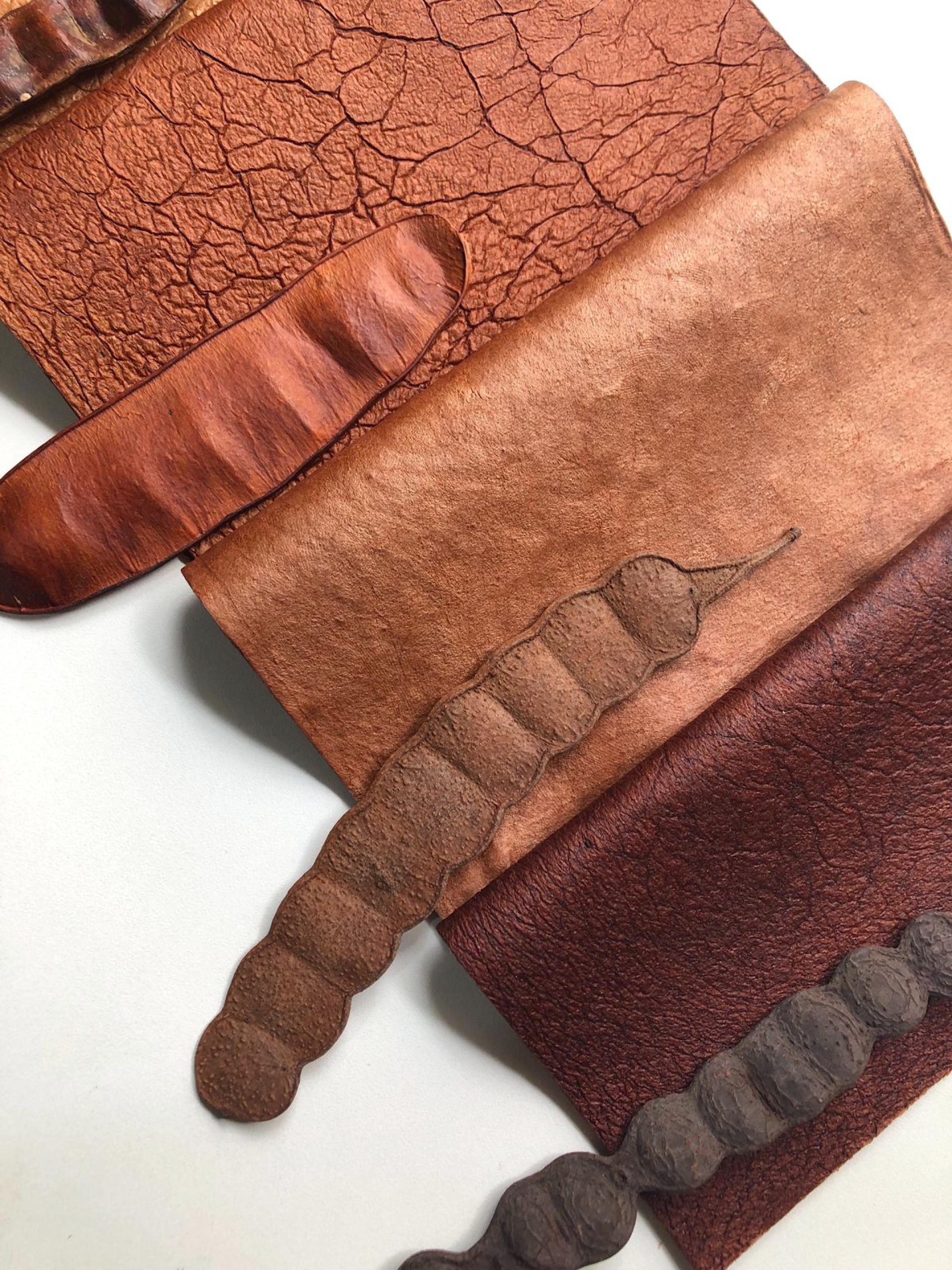 Texture samples of Angico bioleather in varying shades, showcasing the innovative materials developed by MABE Bio for sustainable fashion.