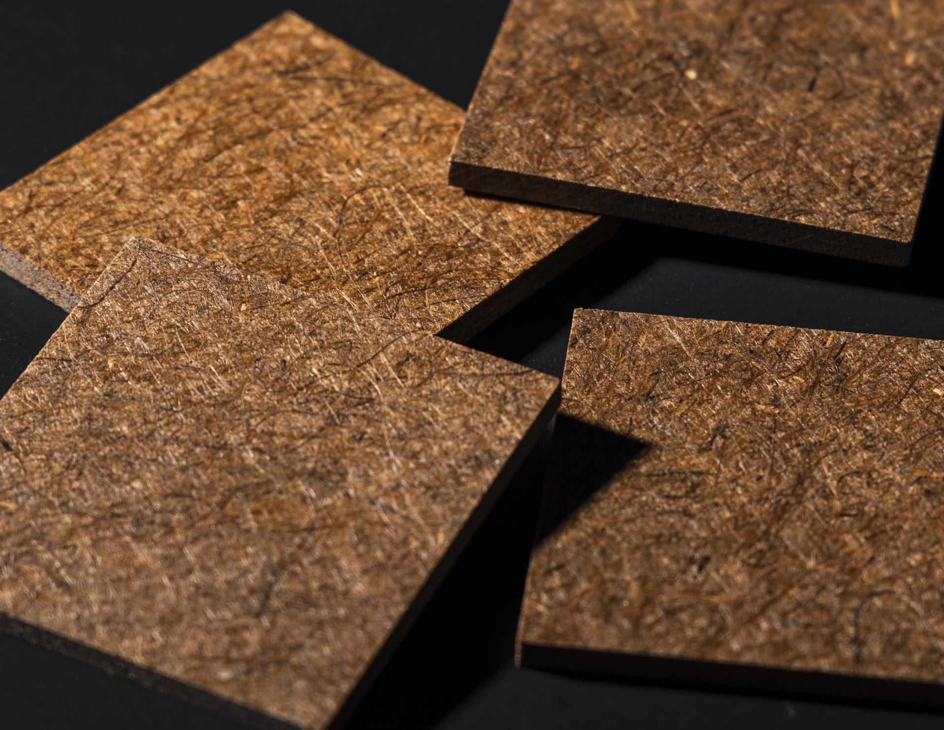 Carbon-12: Vepa, Hemp.