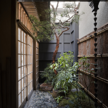 Serene courtyard with a pine tree and lush greenery, reflecting the tranquil design of TRUNK(HOUSE) in Kagurazaka, Tokyo.