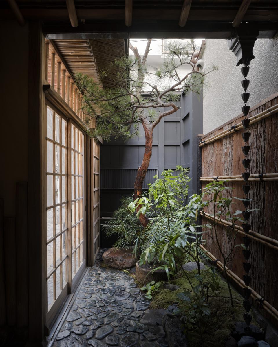 Serene courtyard with a pine tree and lush greenery, reflecting the tranquil design of TRUNK(HOUSE) in Kagurazaka, Tokyo.