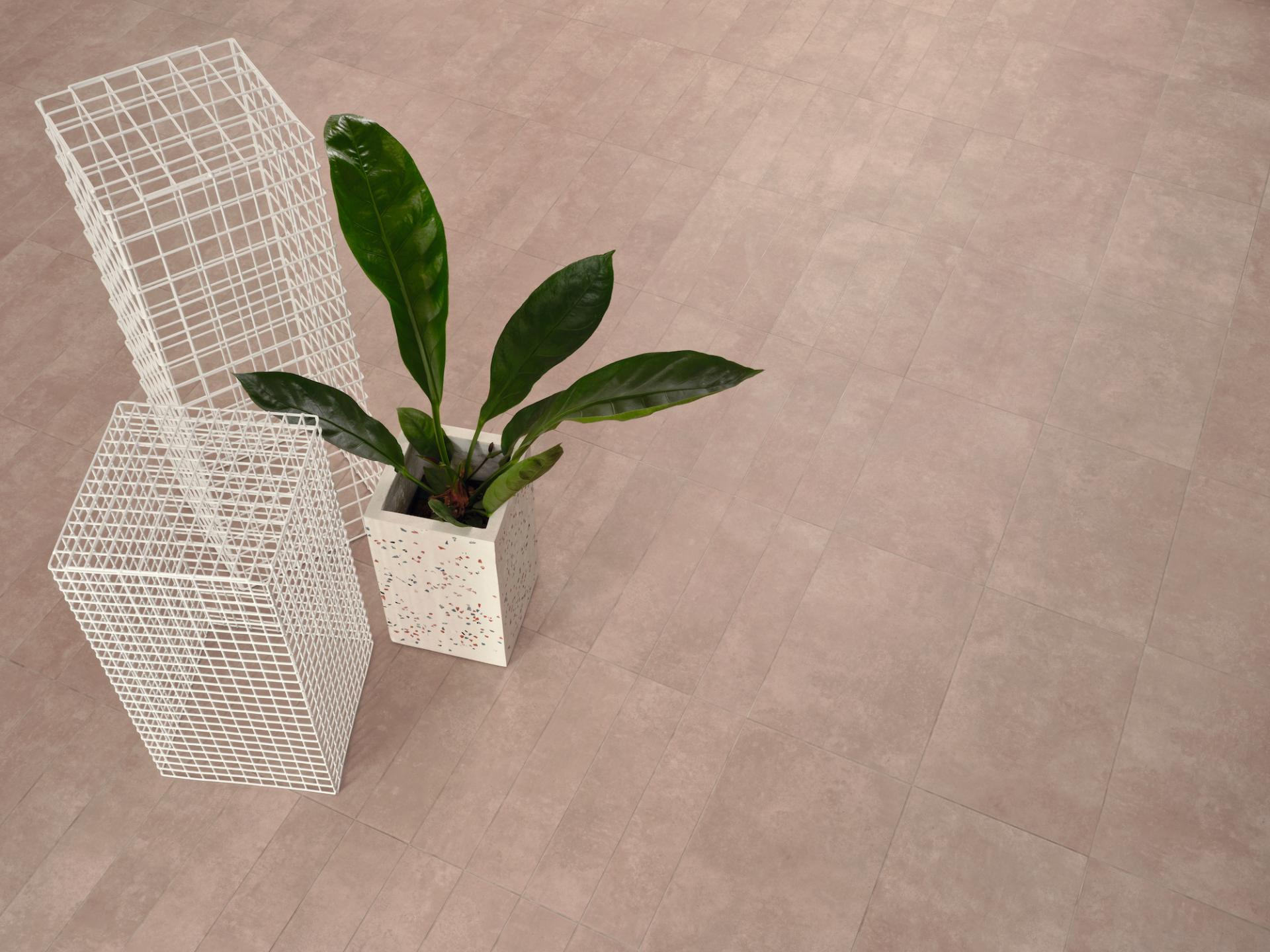 Modern interior featuring terrazzo flooring, a potted plant, and a stylish wireframe planter.