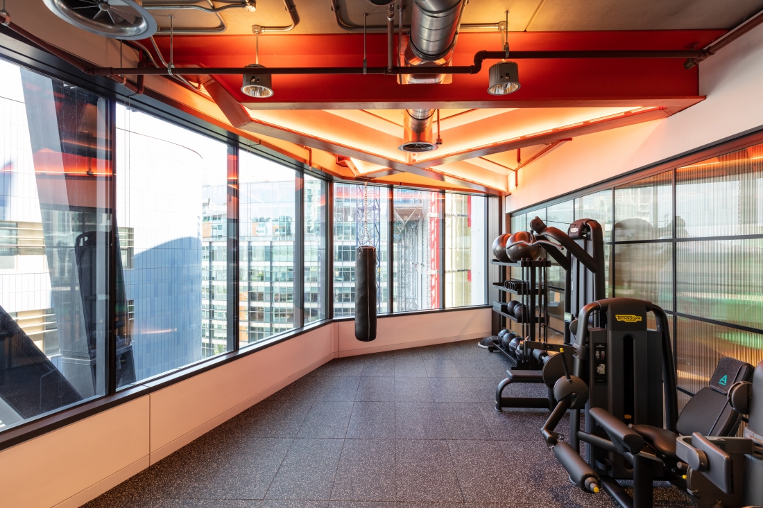 Modus Workspace AlphaFX Gym.