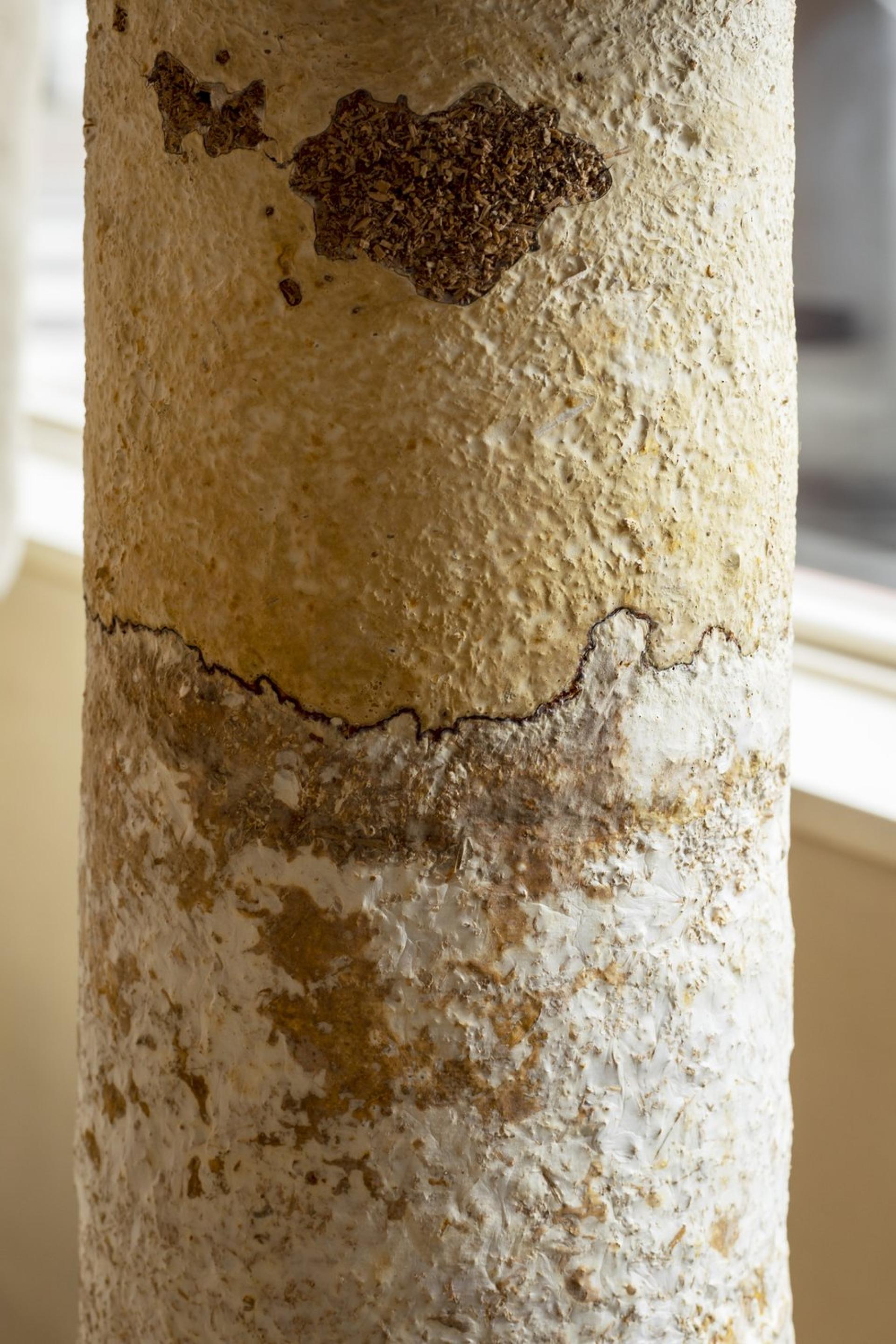 Sculptural mycelium piece featuring textured surface and natural color variations, showcasing Georgie Gerrard's innovative design approach.