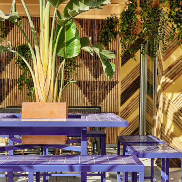 Brightly colored purple tables and a large potted plant in Bar TORÖ, showcasing Mediterranean-inspired design elements in Ibiza.