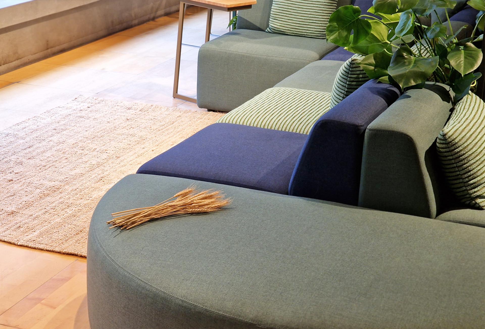 Stylish green and navy upholstered sofa with decorative cushions and a small table, enhancing sustainable interior design.