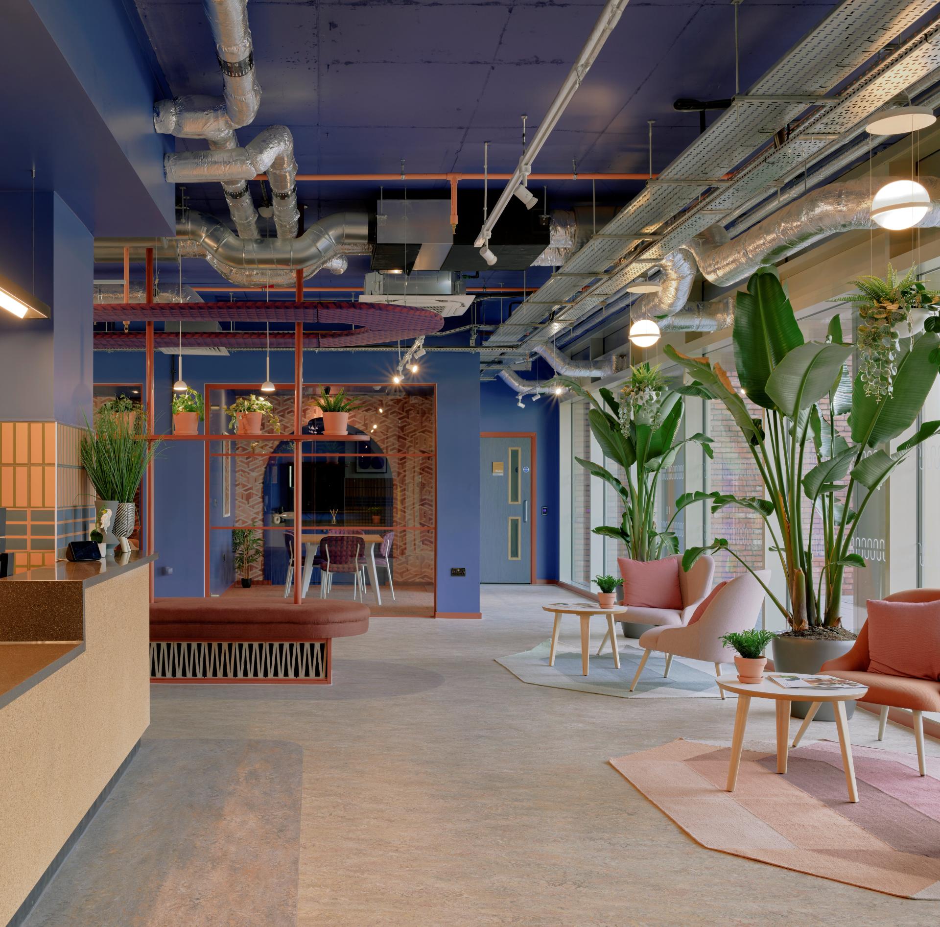 Contemporary interior of Enso student accommodation in Colchester, featuring modern furniture and lush greenery.