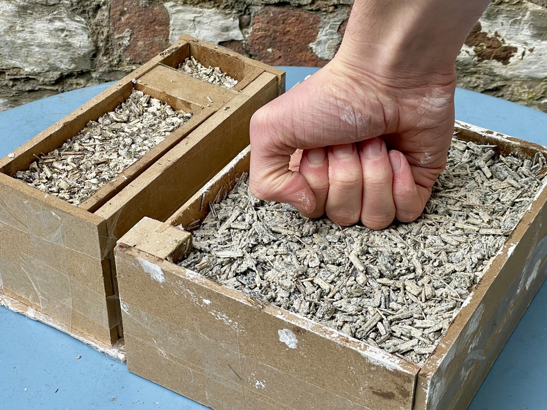 James Pound, architectural assistant, DAY Architectural, on sunflower-based construction.