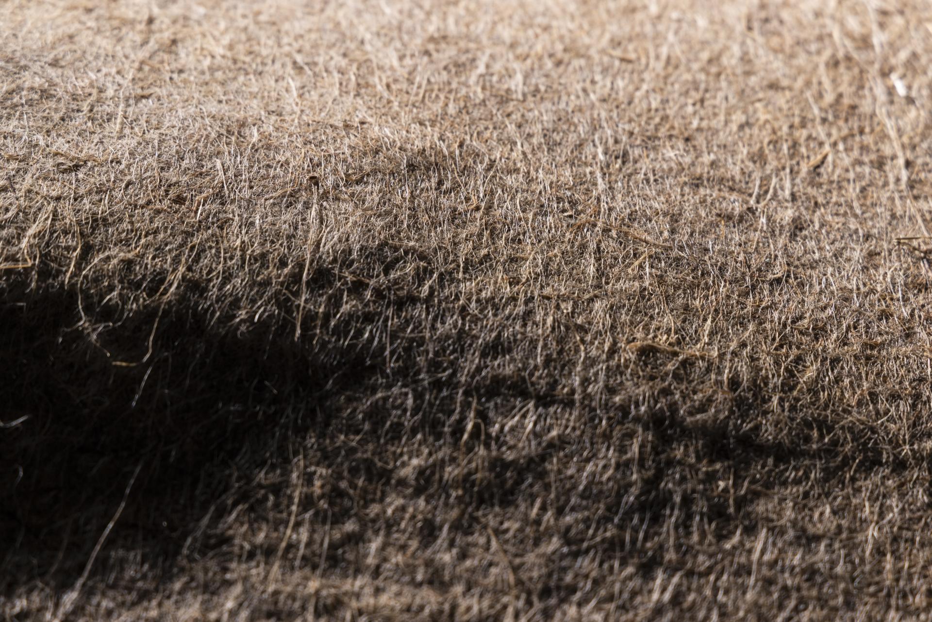 Carbon-12: Vepa, Hemp.