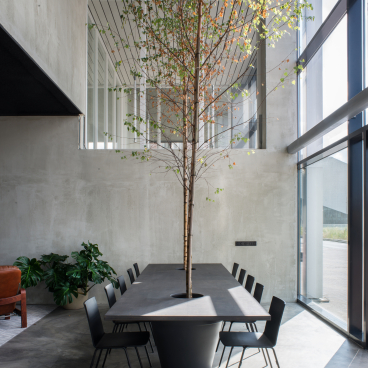 Minimalist dining area featuring a long table with a central tree, surrounded by sleek black chairs in an industrial space.