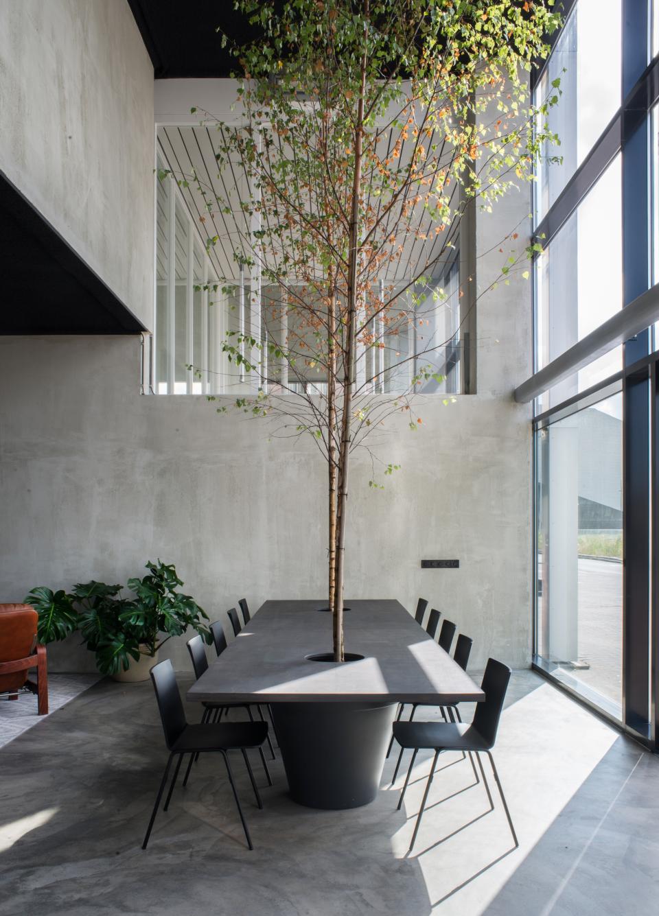 Minimalist dining area featuring a long table with a central tree, surrounded by sleek black chairs in an industrial space.
