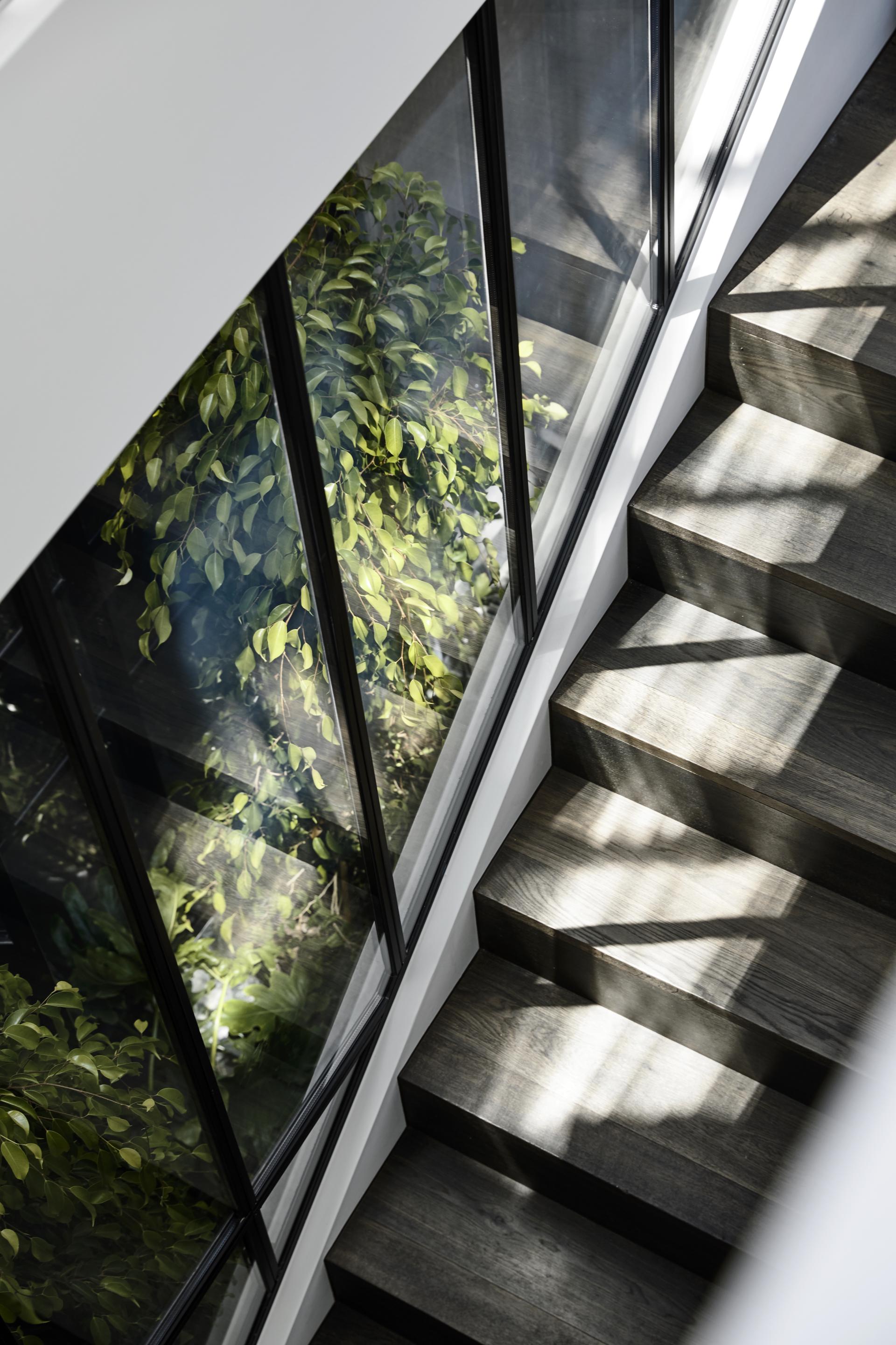 Stylish wooden staircase with natural light and greenery, showcasing Biasol’s Parisian-inspired renovation in a Melbourne home.