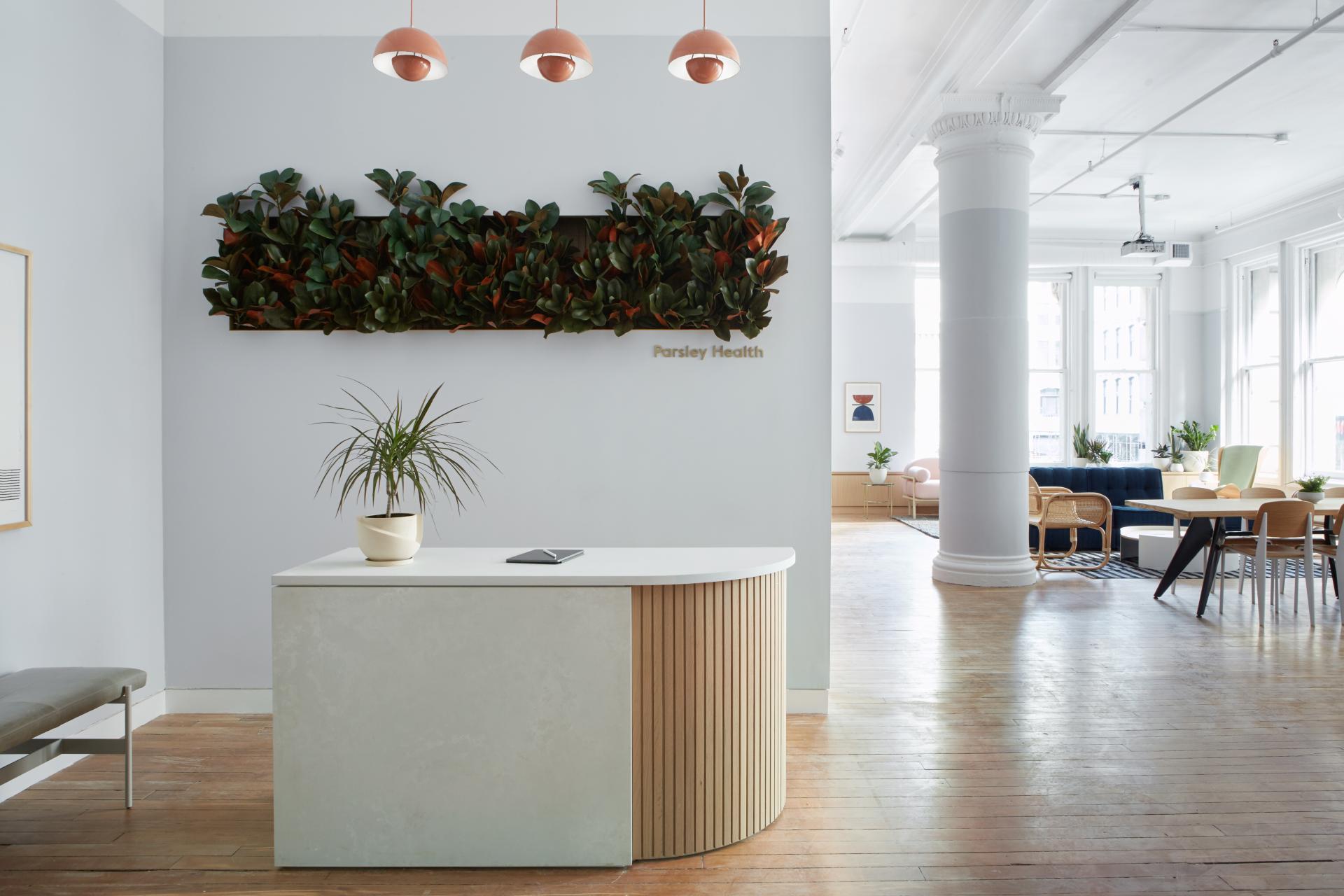 Modern medical practice reception area featuring natural elements, minimalist design, and greenery at Parsley Health in New York.