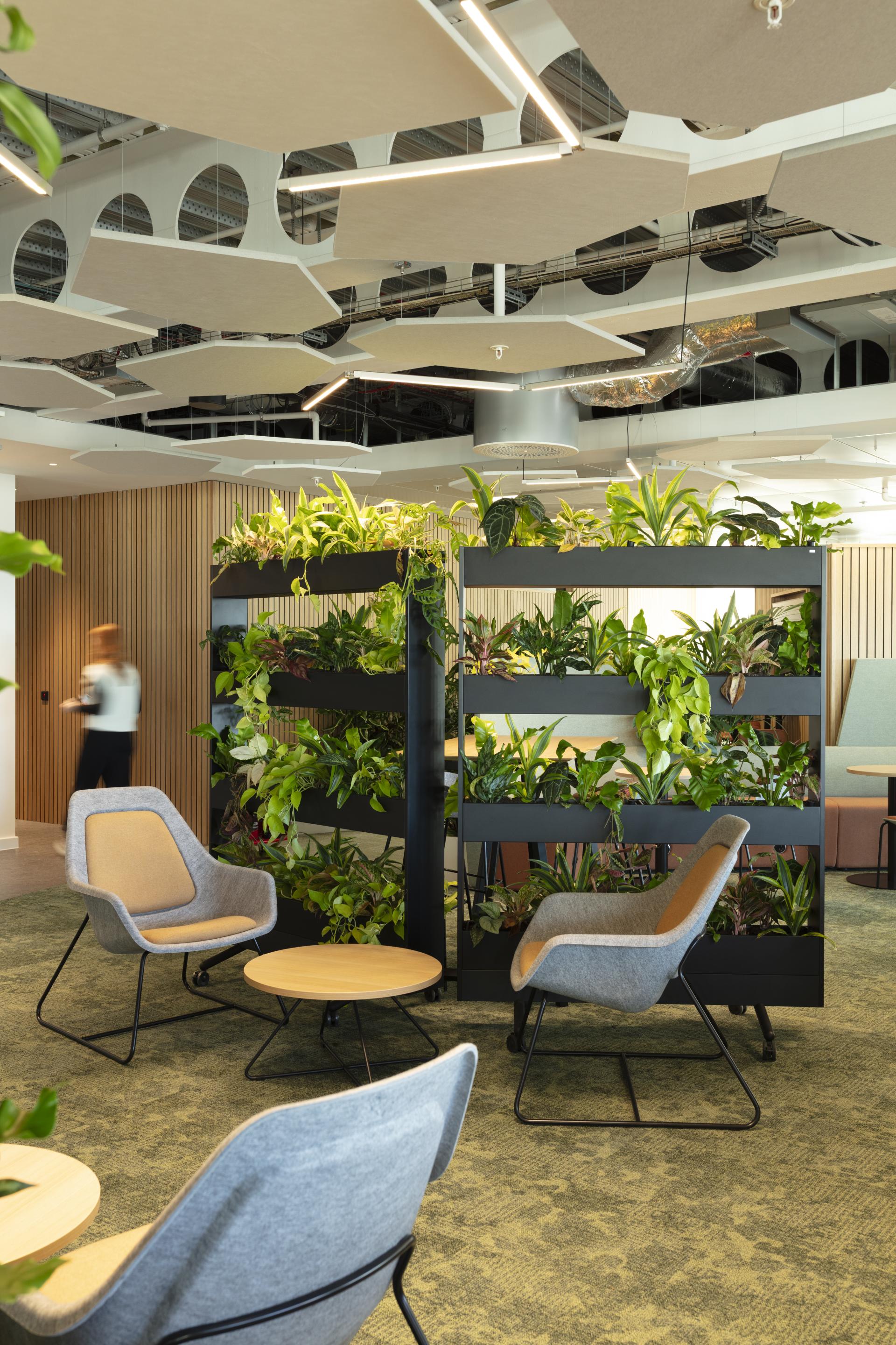 New Cundall HQ sees collaboration between SPACE, Bowmer and Kirkland & Ryder Architecture - with biophilic design by Benholm.