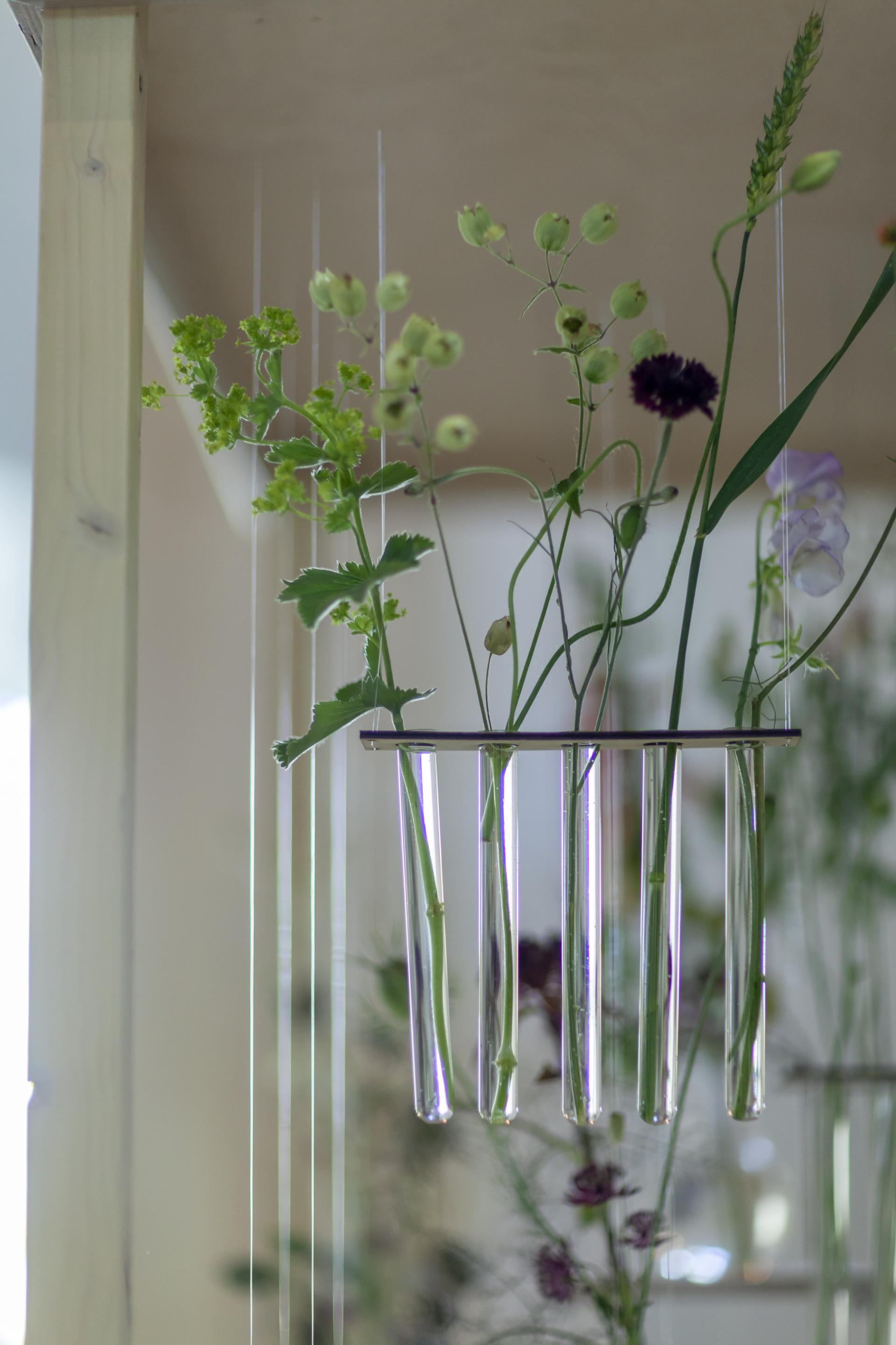 Botanical arrangement featuring various flowers in test tubes, showcasing Charlotte Smithson's artistic interpretation of nature.