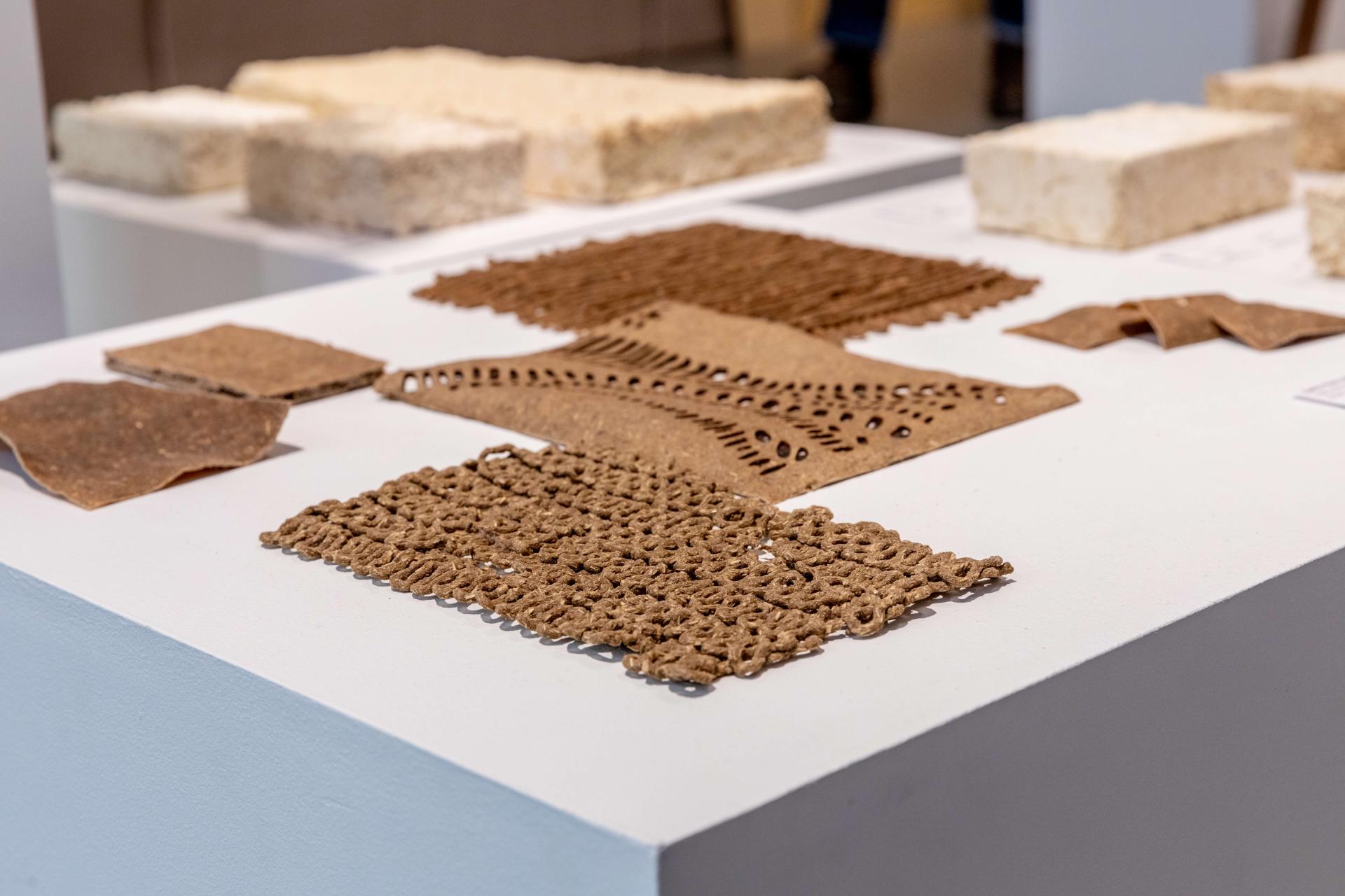 Lola Ben-Alon, assistant professor, Columbia University & director, Natural Materials Lab.