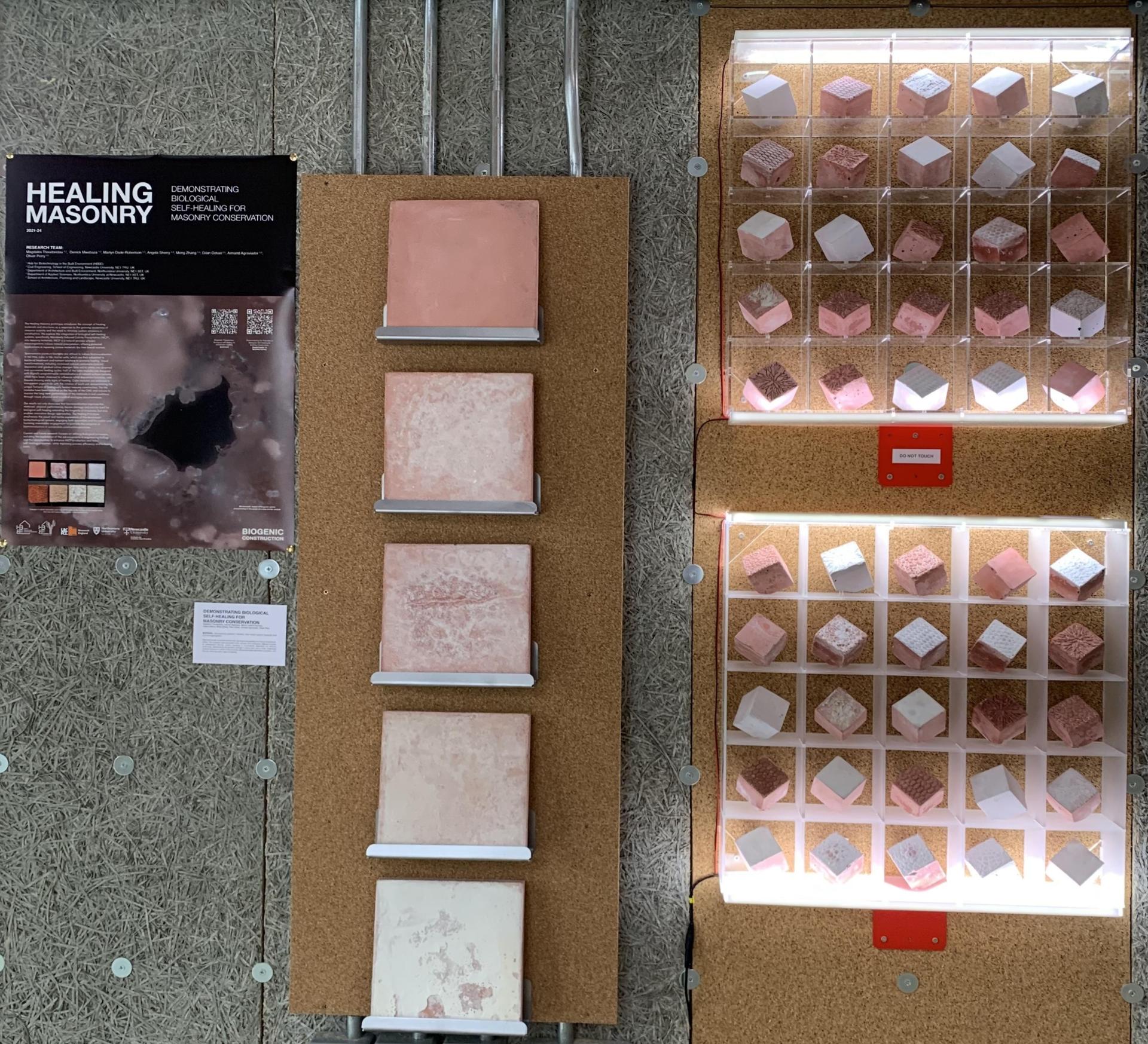 Samples of innovative biomaterial masonry, showcasing self-healing properties and sustainable design for eco-friendly construction.