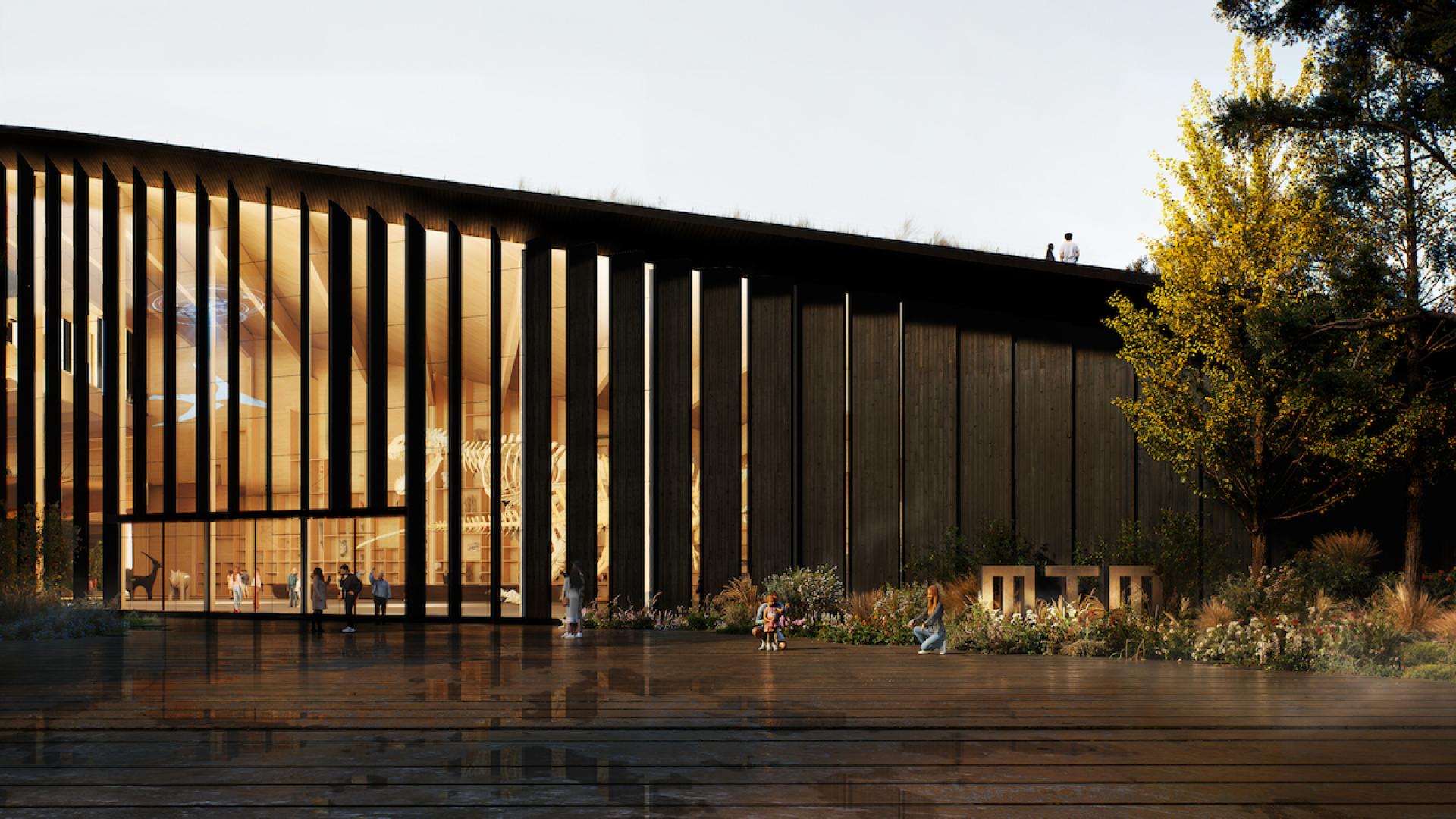 A timber structure with slatted design