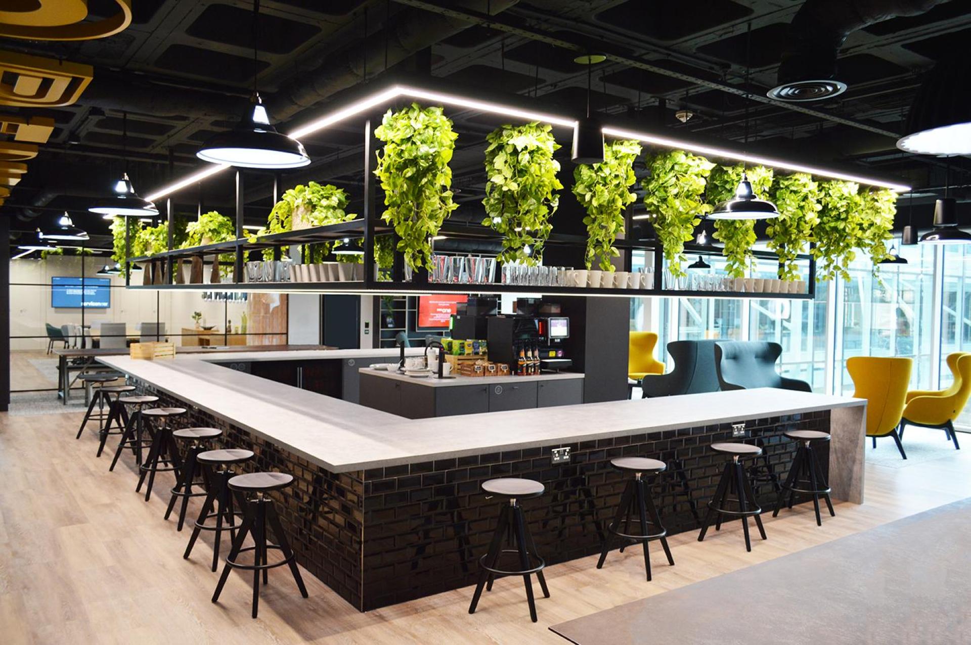 Modern workspace featuring biophilic design with vibrant green walls and hanging plants above a sleek kitchen island.
