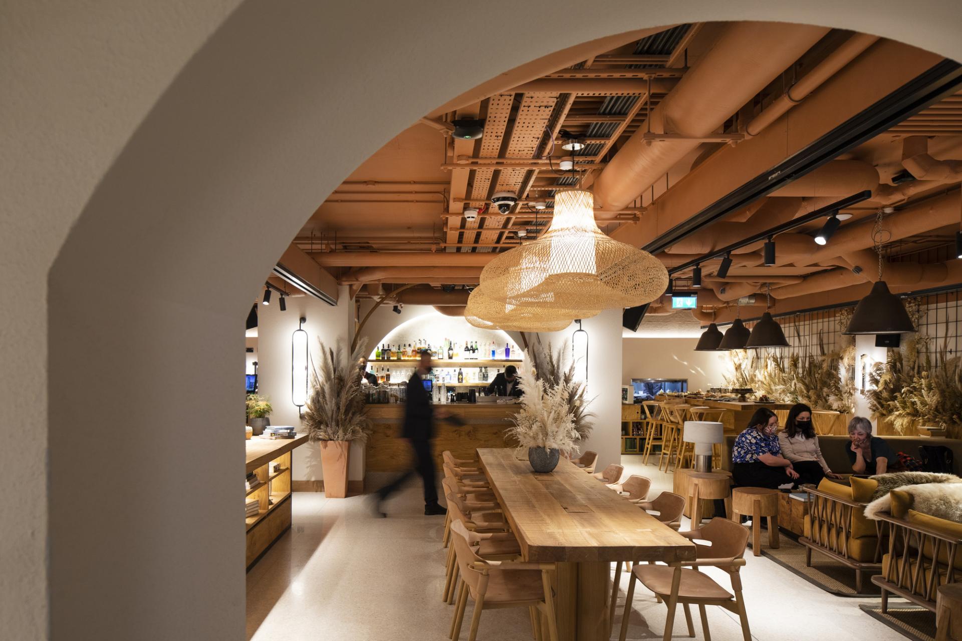 Modern interior of a sustainable bar featuring wooden furniture, decorative plants, and a welcoming atmosphere for social gatherings.