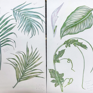 Botanical illustrations featuring various green leaves, highlighting inspiration for clean air designs by BOBO1325 and Crown Paints.