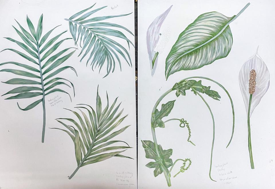Botanical illustrations featuring various green leaves, highlighting inspiration for clean air designs by BOBO1325 and Crown Paints.