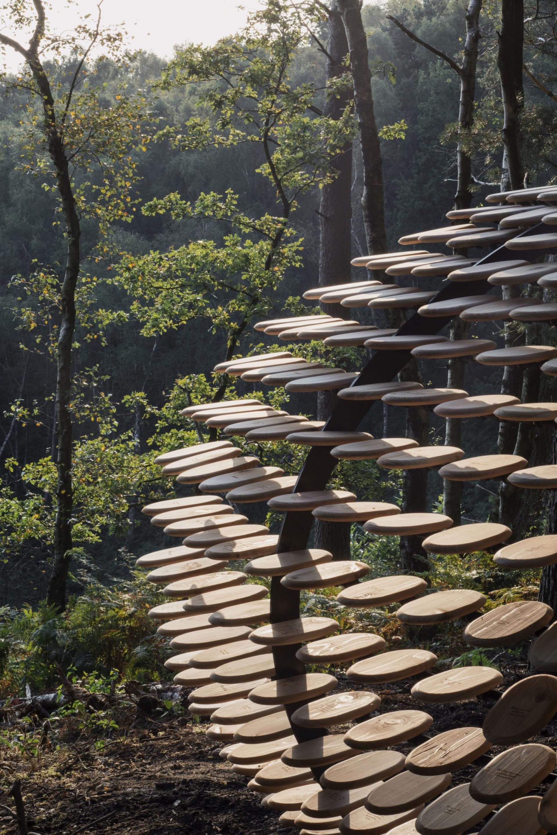 Organic pavilion by Giles Miller amidst Winterfold Forest, featuring circular wooden elements against a natural backdrop.