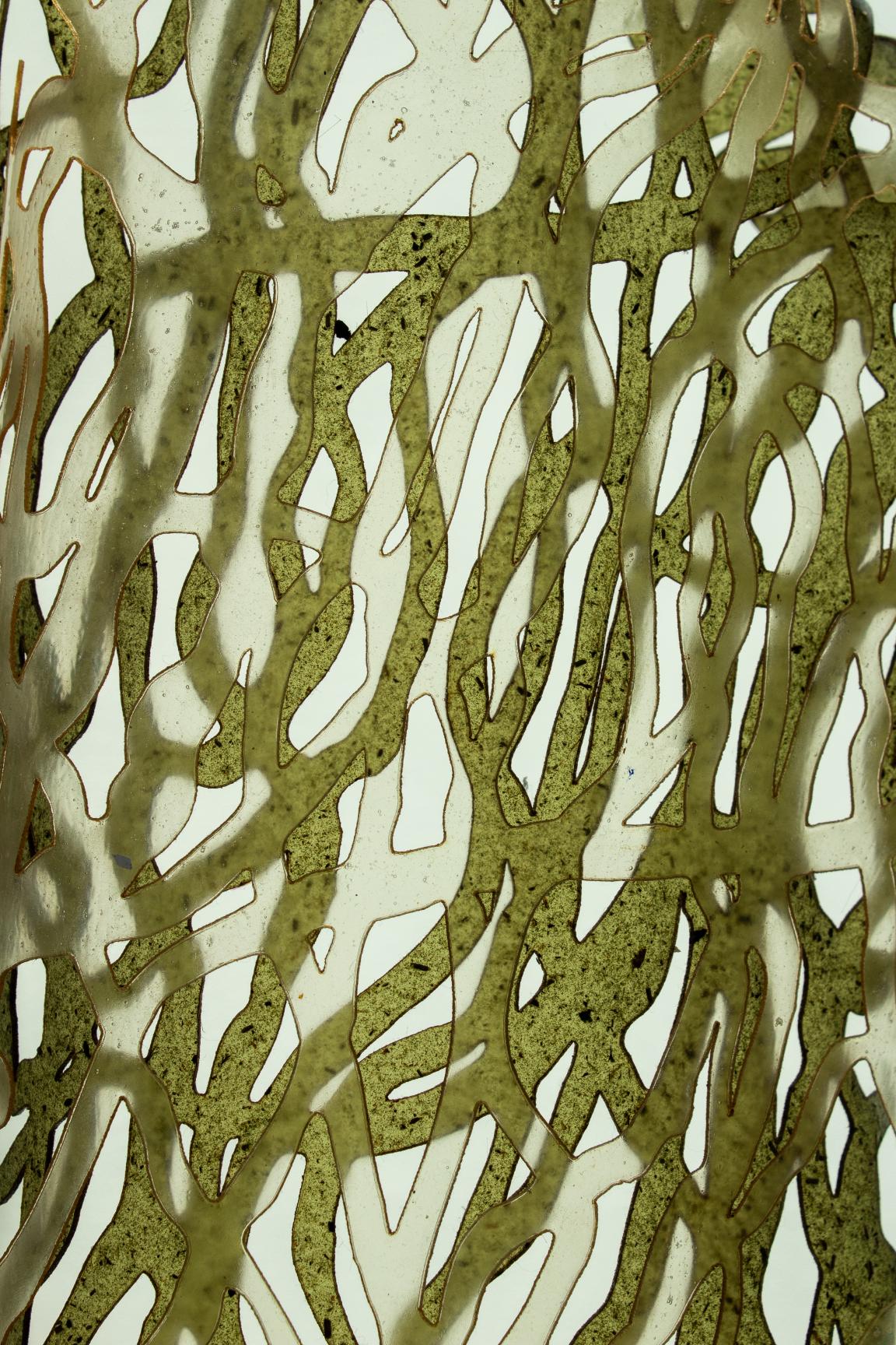 Graduate spotlight: Milly Vine, bio-based textile design.