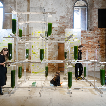 Biotech architecture installation featuring researchers interacting with green algae-filled tubes in a spacious setting.