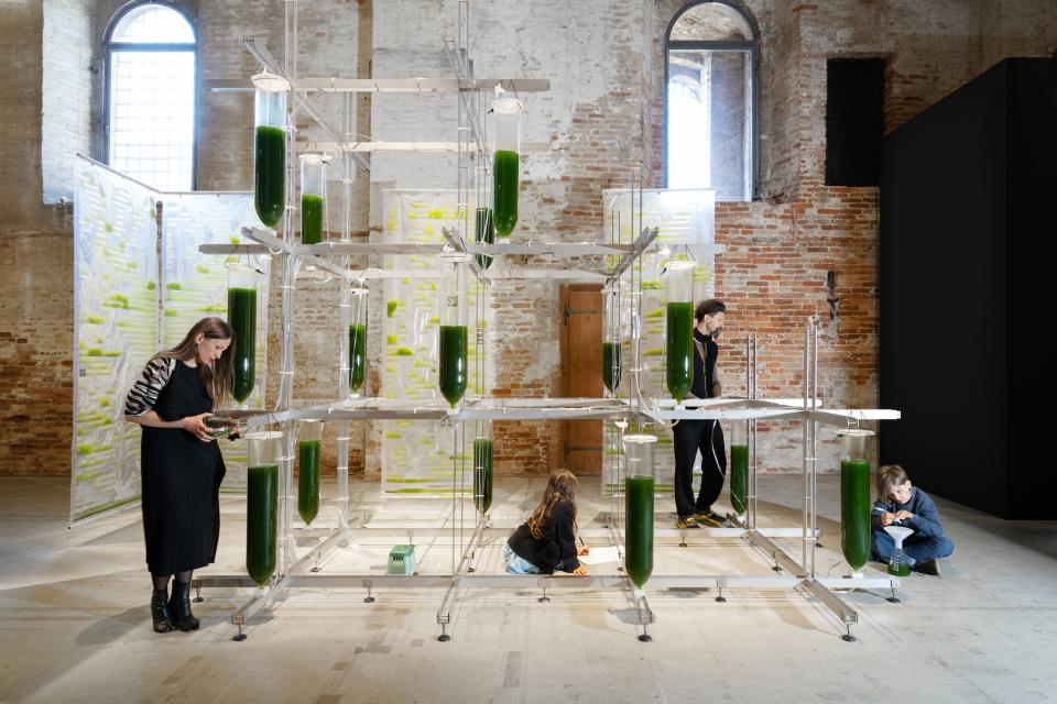 Biotech architecture installation featuring researchers interacting with green algae-filled tubes in a spacious setting.