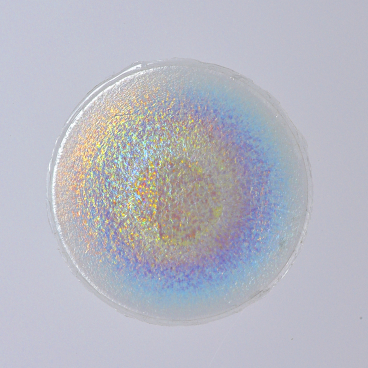 Translucent, bio-based sequin with iridescent colors reflecting light, showcasing sustainable design in material innovation.