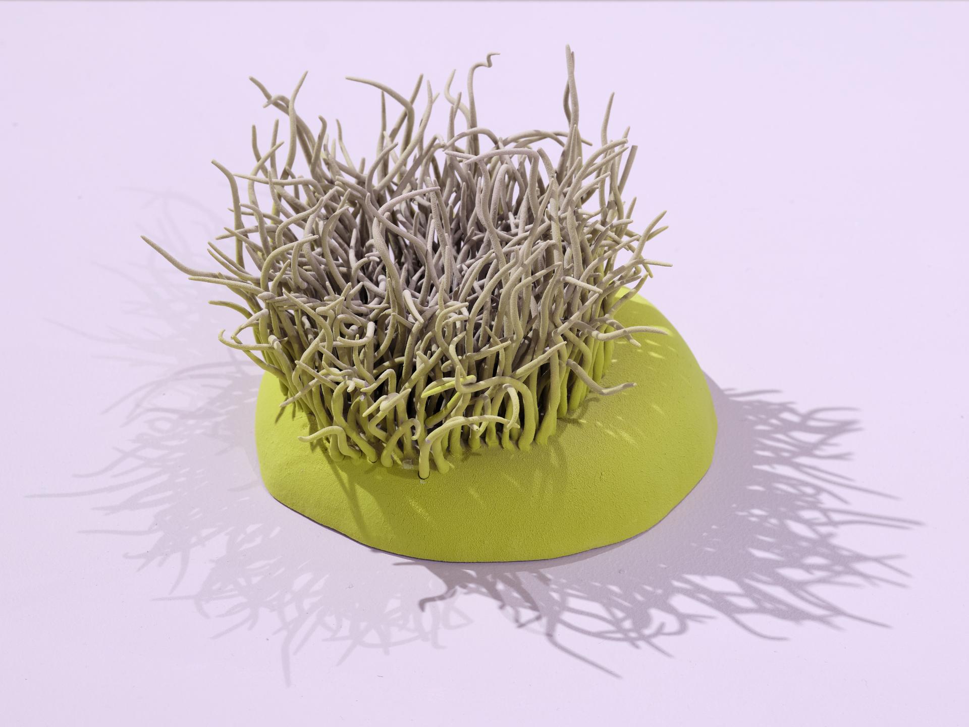 Undergrowth at County Hall Pottery: A material exploration into the hidden forces of the natural world.