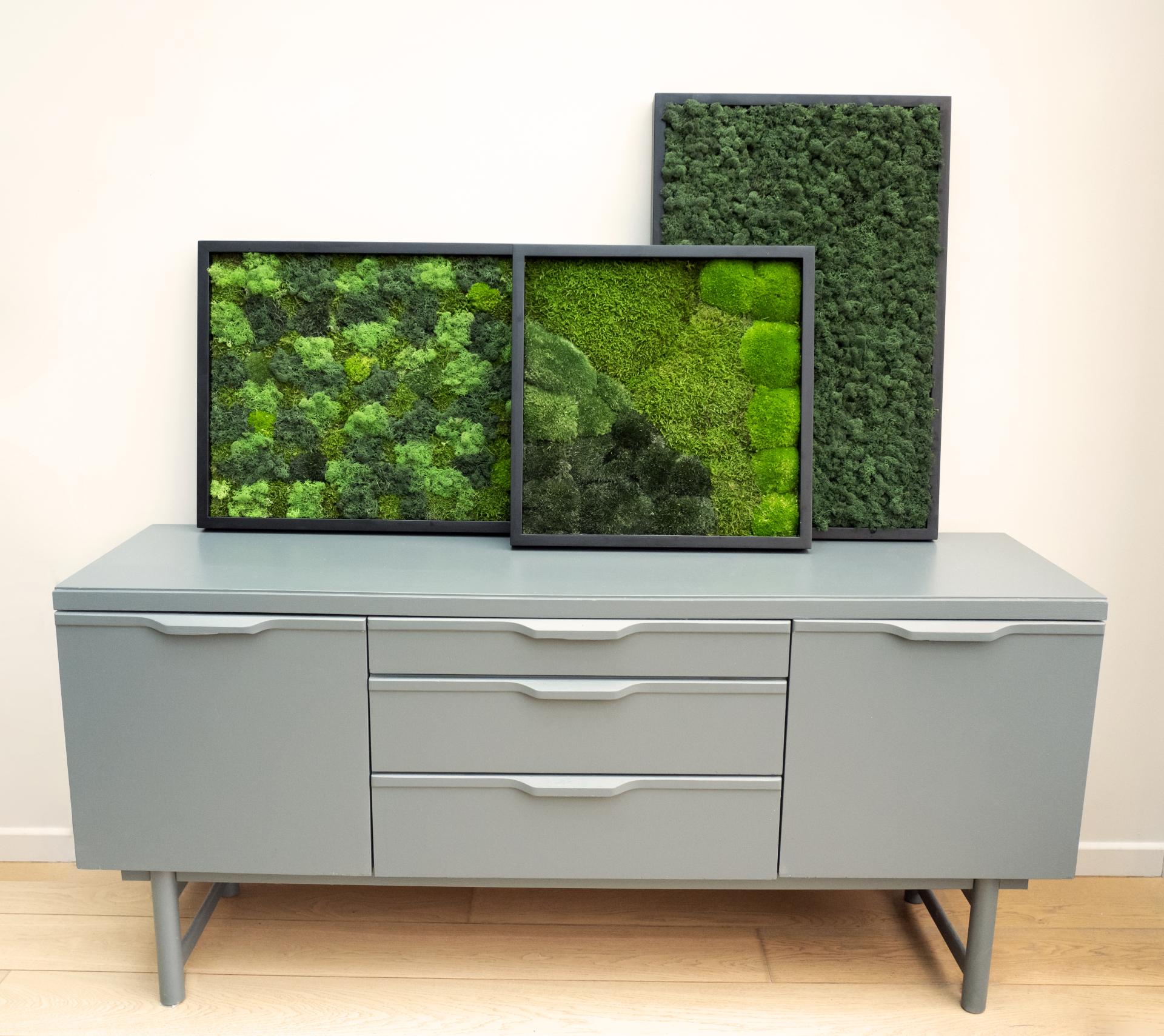Sustainable green moss wall art displayed on a modern gray sideboard, highlighting authenticity and practicality in home decor.