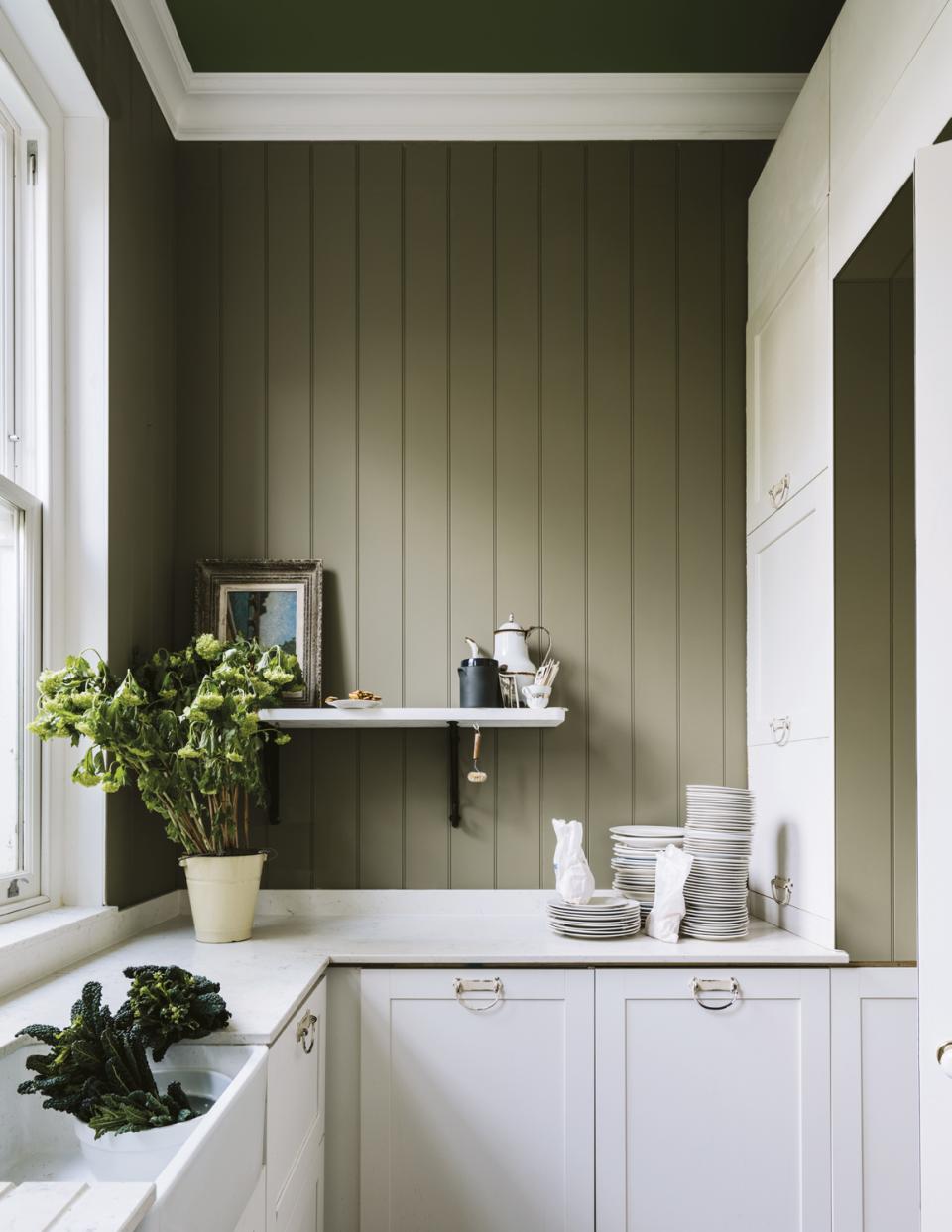 Stylish kitchen featuring Farrow & Ball's new paint shade on the walls, with plants, dishes, and modern decor.