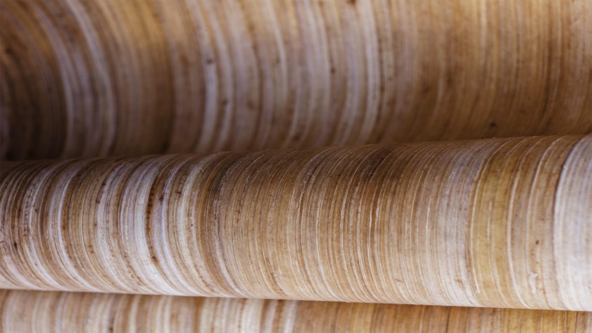 Close-up of layered banana plant trunks, showcasing the natural textures and colors repurposed by FIBandCO in Martinique.