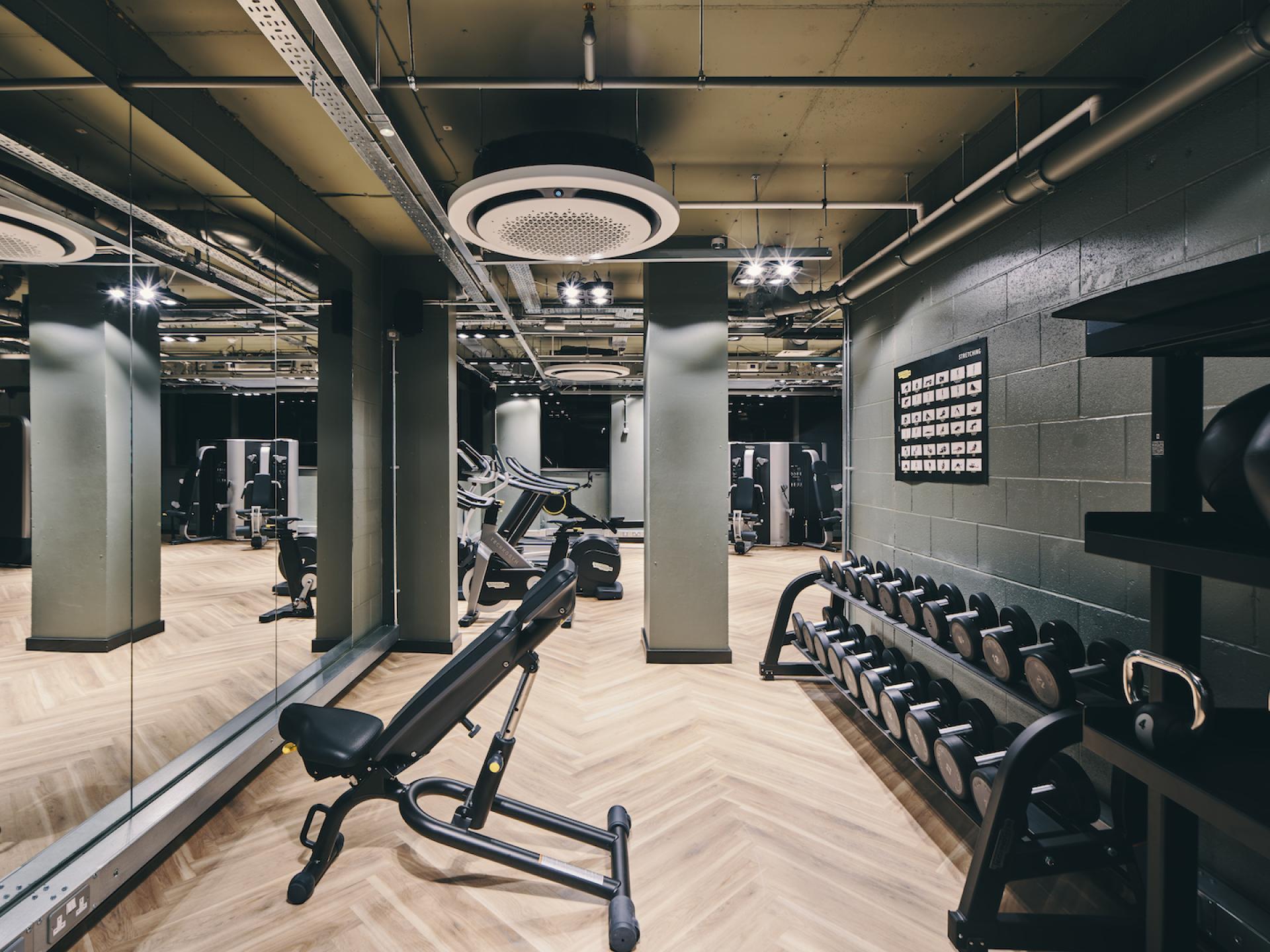 Sophisticated student gym featuring modern equipment, weights, and a sleek design for fitness and wellness.