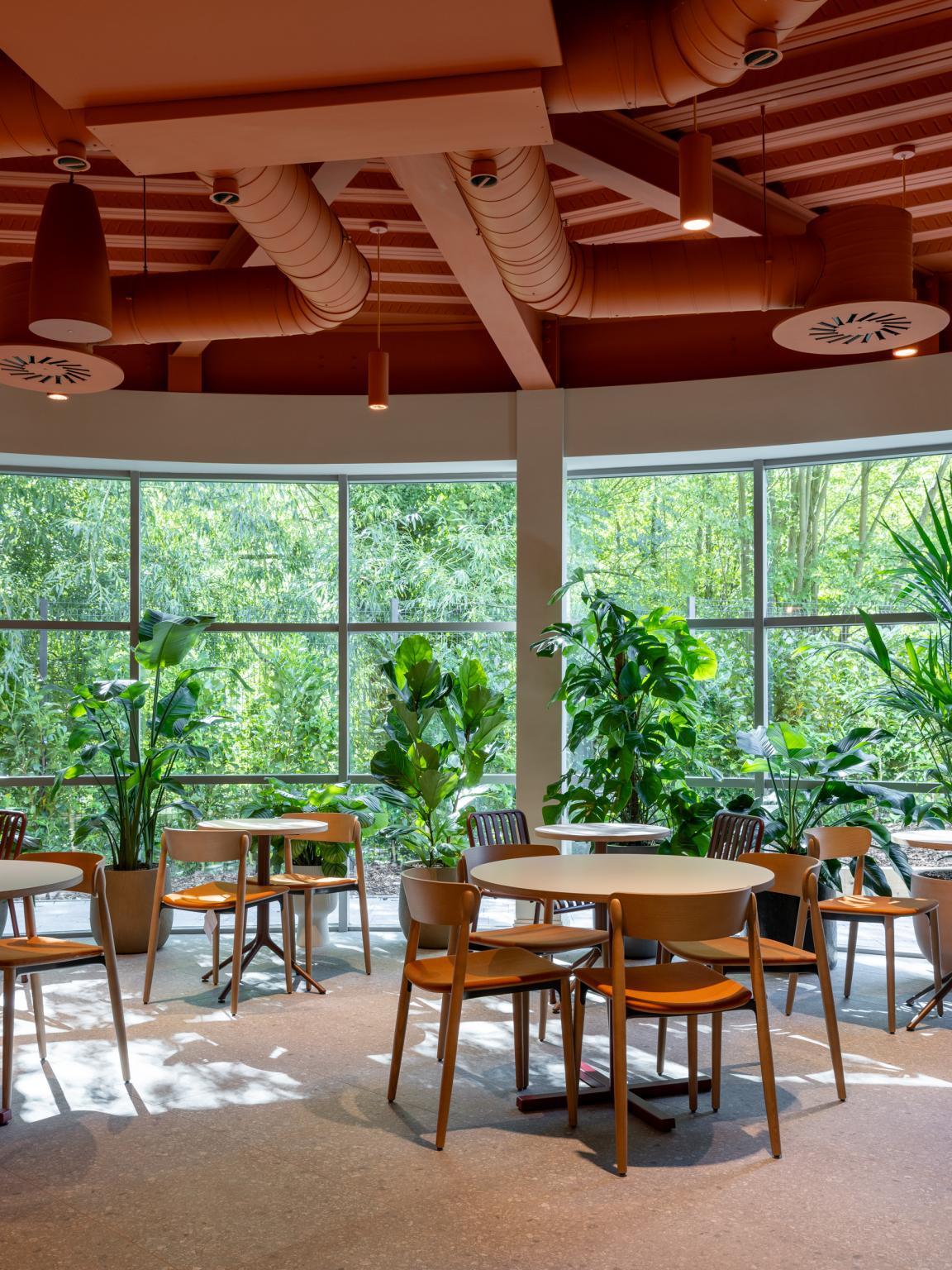 Sheila Bird's new HQ for Stockport based contractor TMT playfully celebrates The Art of Construction.