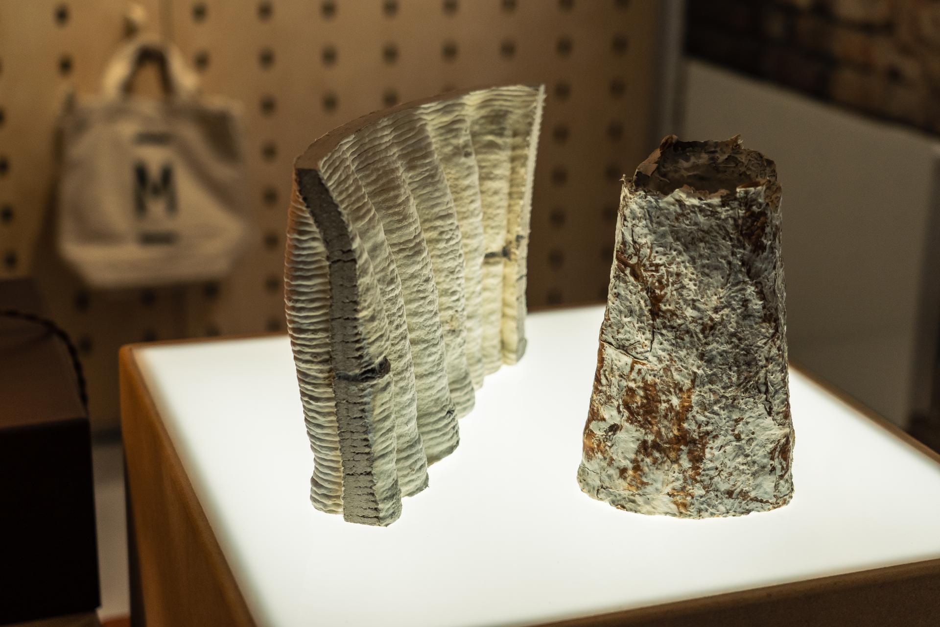Two sculptural forms made from bio-based materials, displayed under soft lighting at the exhibition "This Is No Longer Speculative."