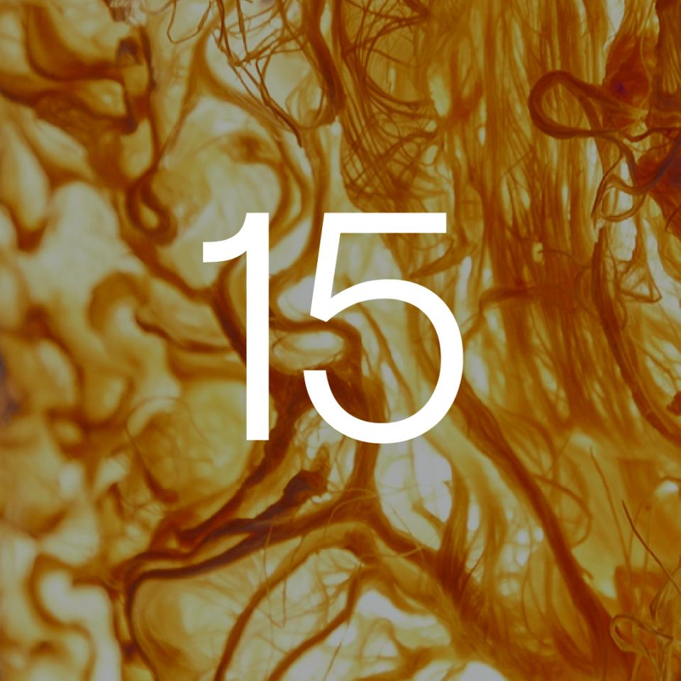 Abstract organic patterns in warm hues convey a connection between design and nature, aligning with Rootfull's mission.