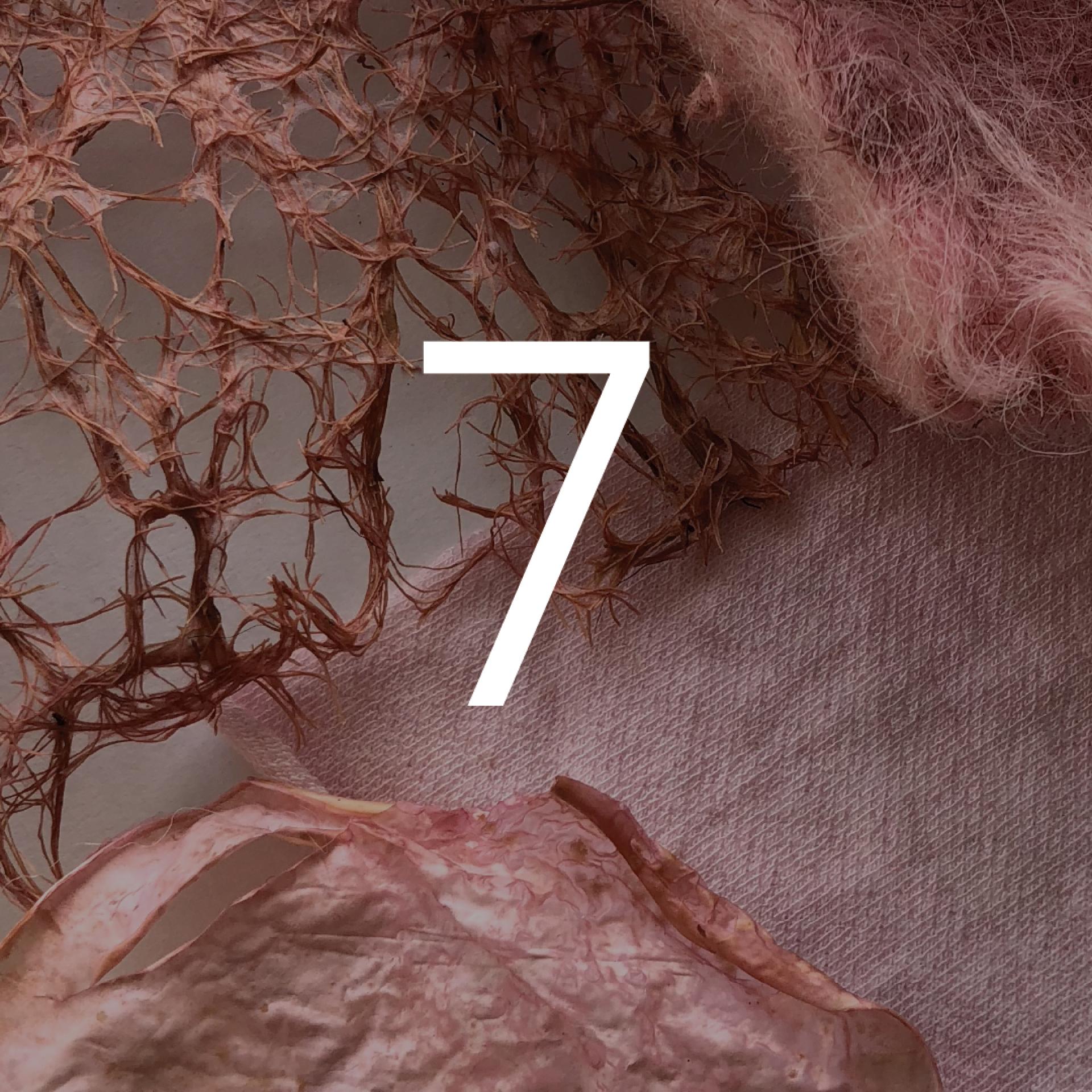 24 bio and by-product based materials for 2024.