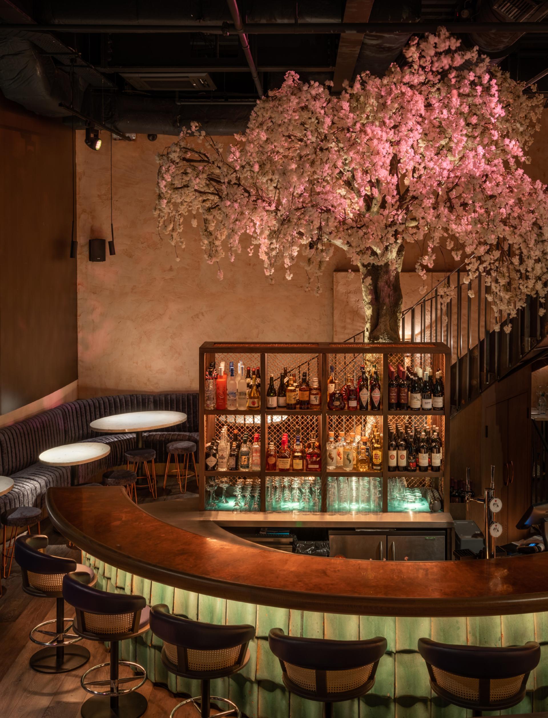 Stylish restaurant bar featuring a cherry blossom tree, illuminated shelves, and elegant seating in London's Bloomberg Arcade.