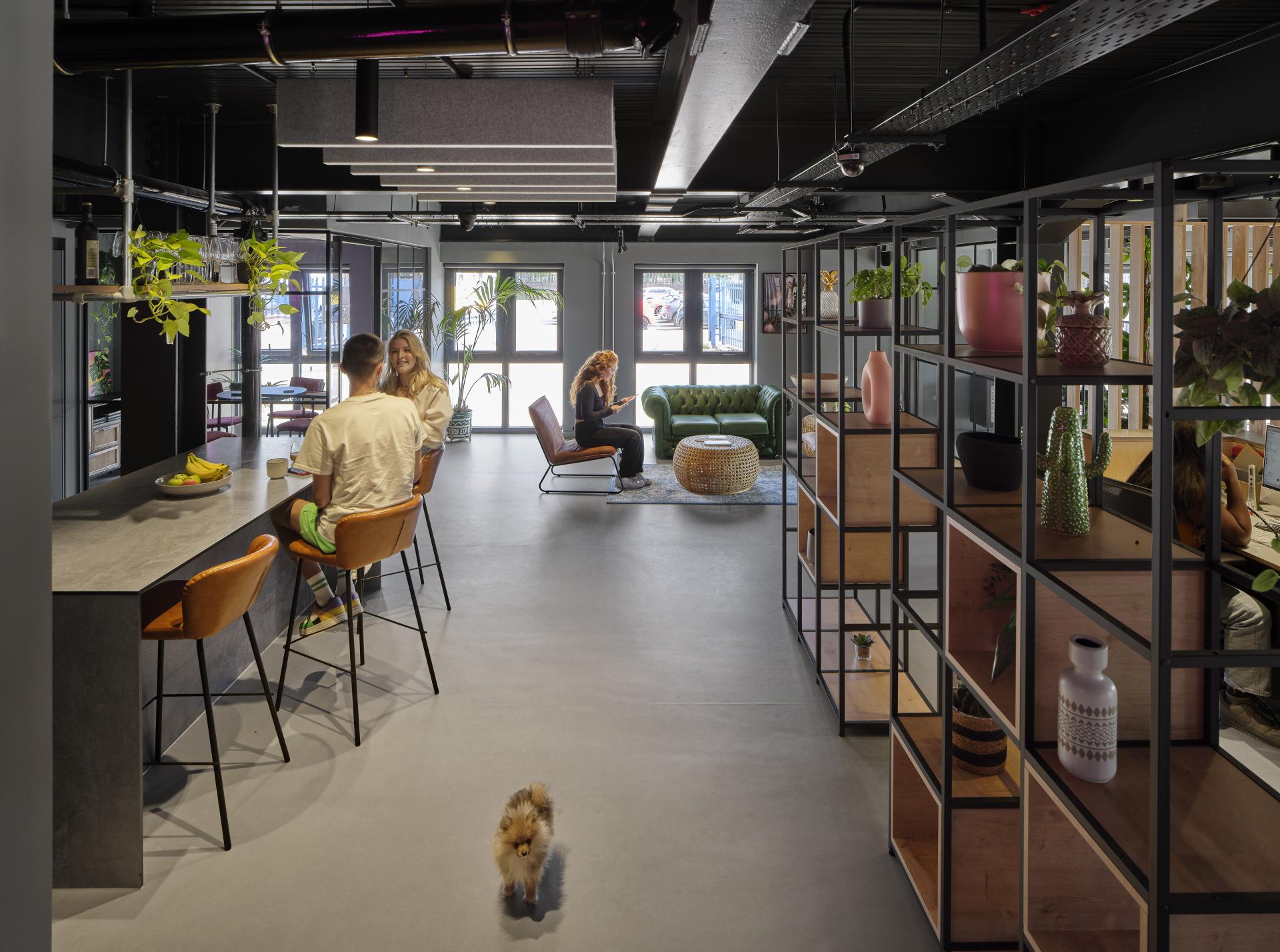 Modern office space for J’adore Models featuring a stylish seating area, green plants, and a friendly dog.