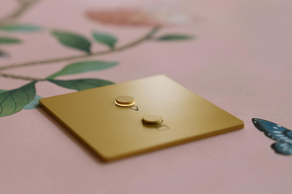 Gold Lutron Alisse wall control positioned on floral background, part of HomeWorks lighting and shading solutions.