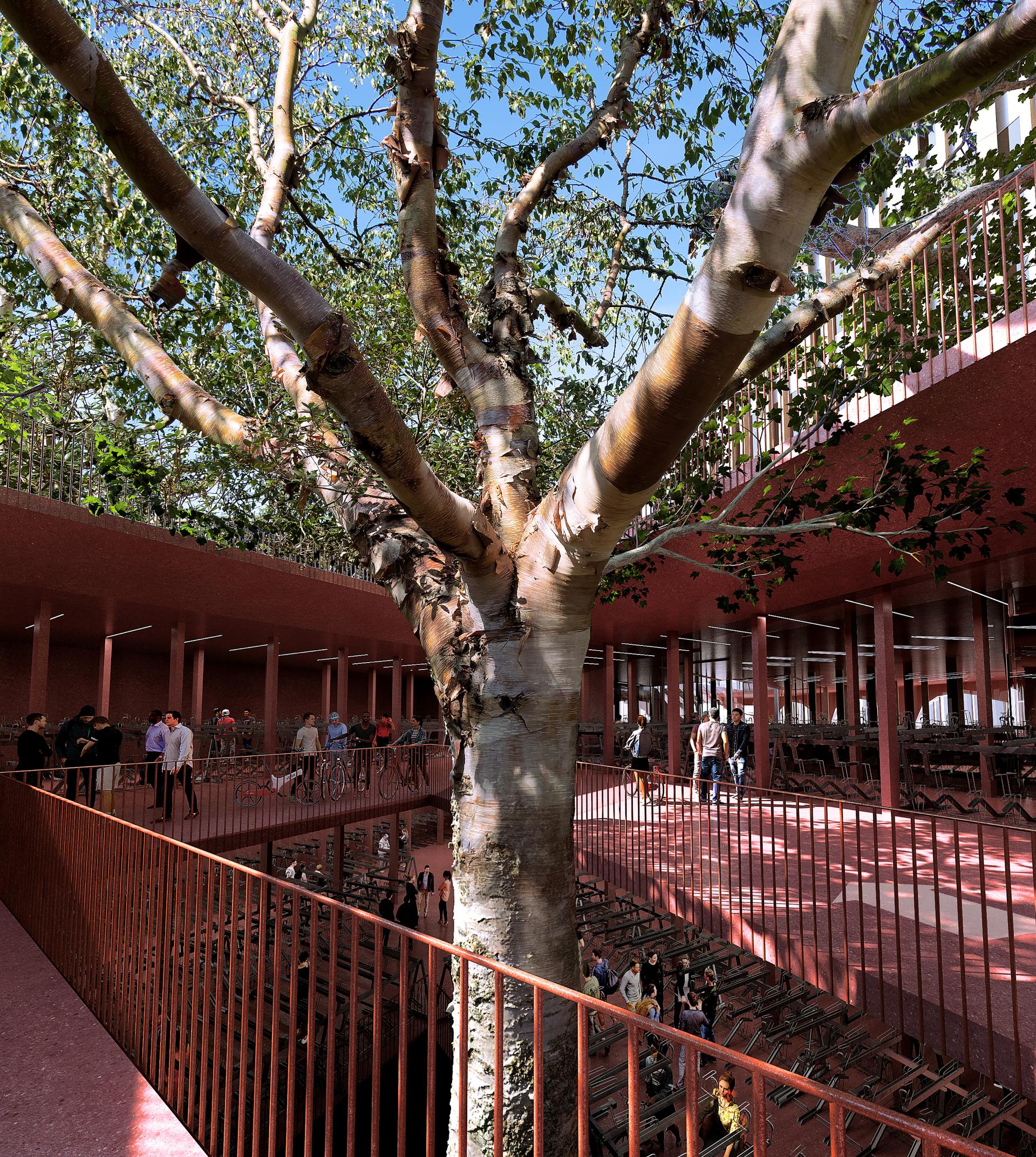 Interior view of the Marengo Multimodal Transport Hub, featuring a large central tree and mass timber architecture.