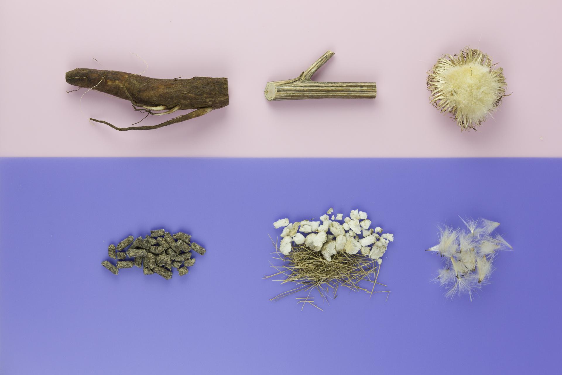 Natural materials used in bio-based innovation, including plant stems, roots, and organic fibers, arranged on colored backgrounds.