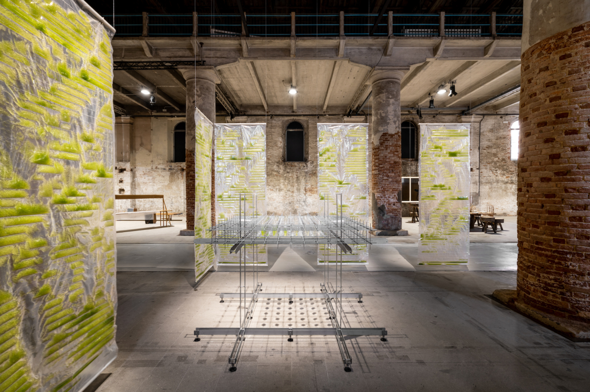 Biotech architecture exhibit featuring transparent panels with green elements and a modular structure in a spacious industrial setting.