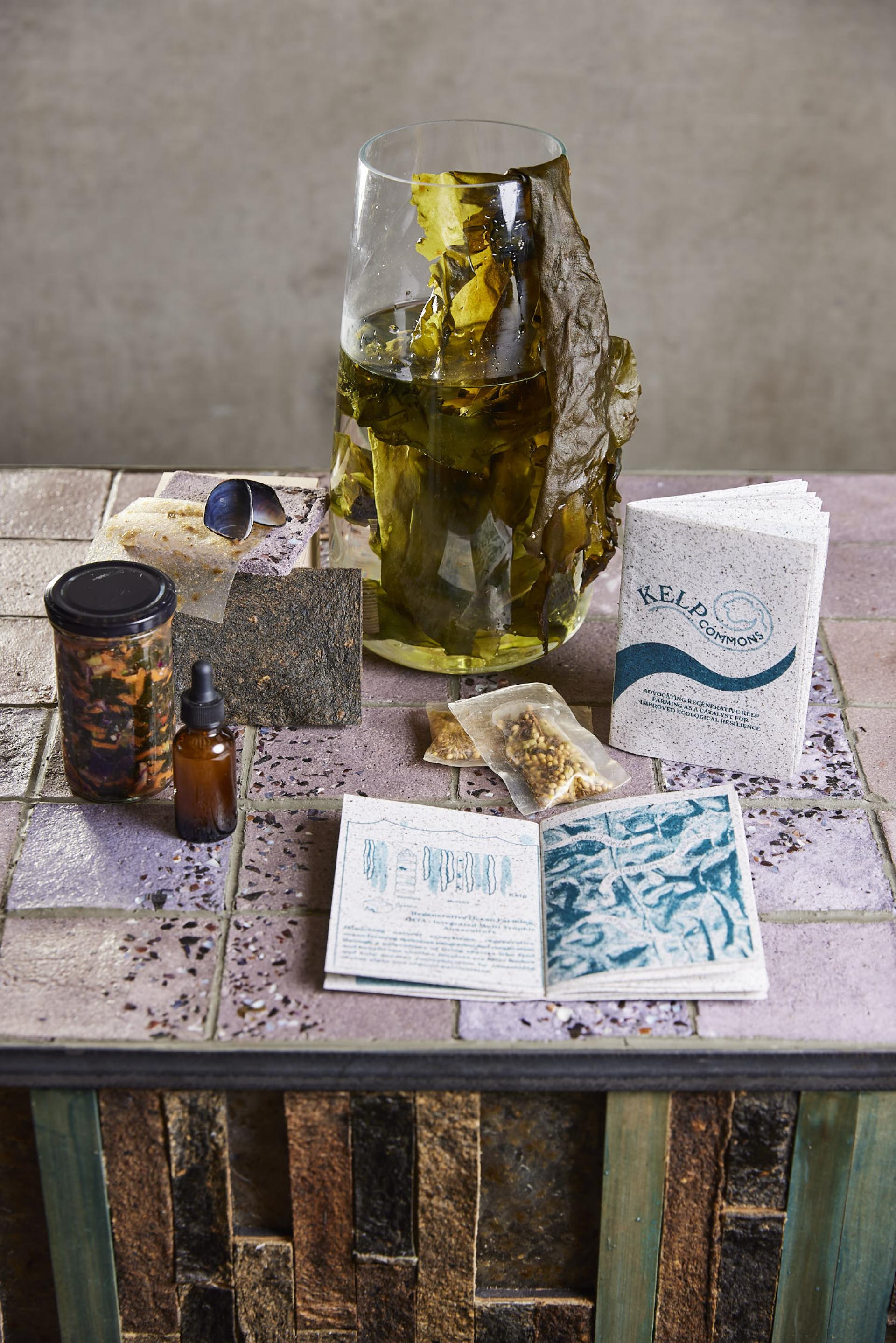 Kelp and bio-design materials displayed on a textured table, highlighting Alex Huller's innovative regenerative farming methods.