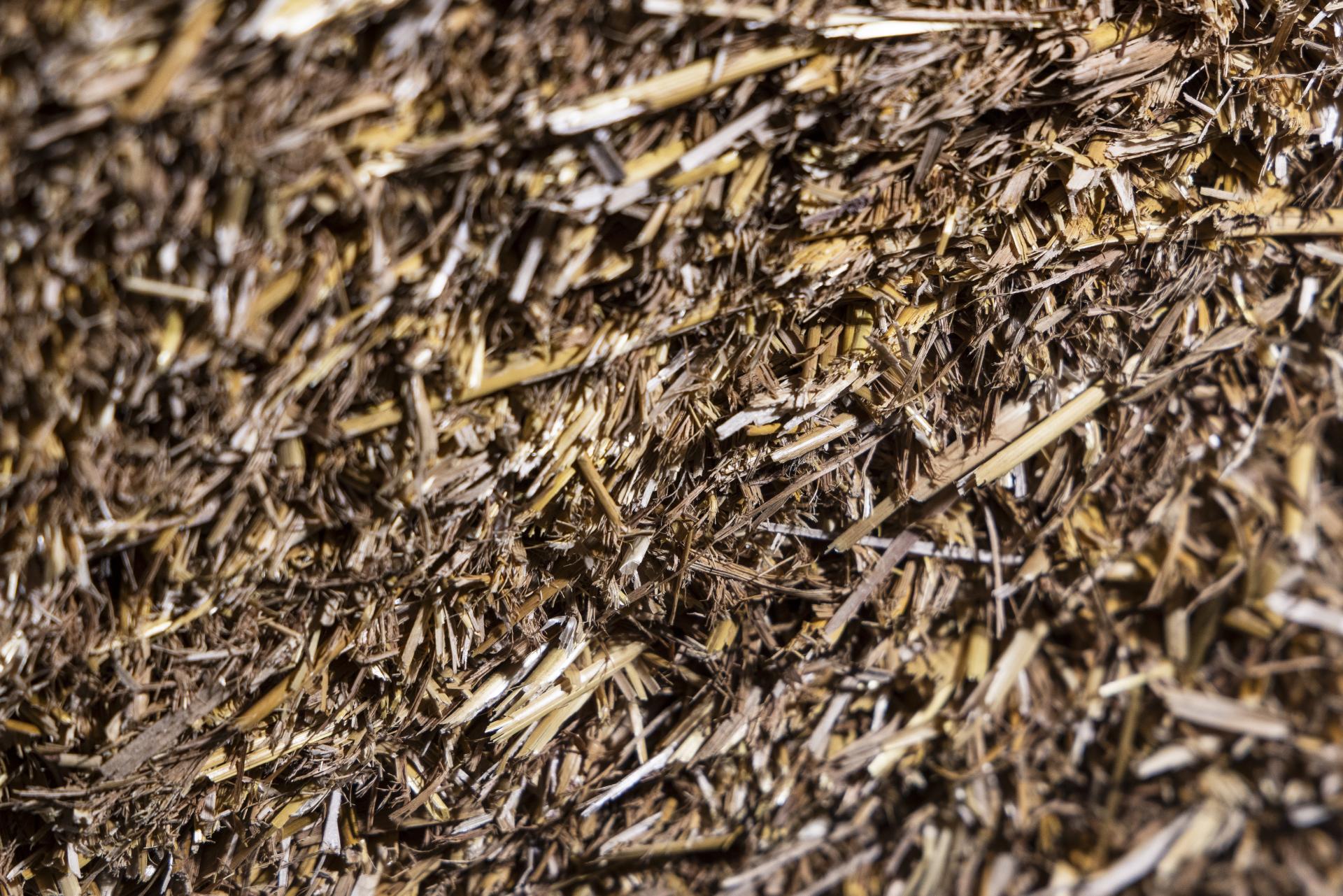 Carbon-12: EcoCocon, straw panel construction. 