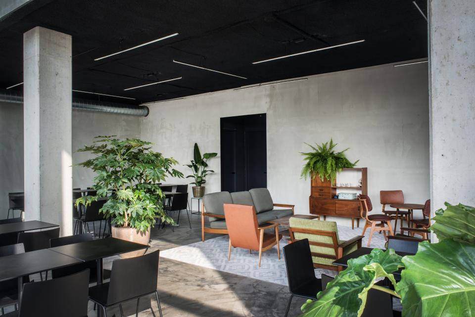 Minimalist interior design of HOP's Public Space in Amsterdam, featuring plants, sleek furniture, and concrete finishes.